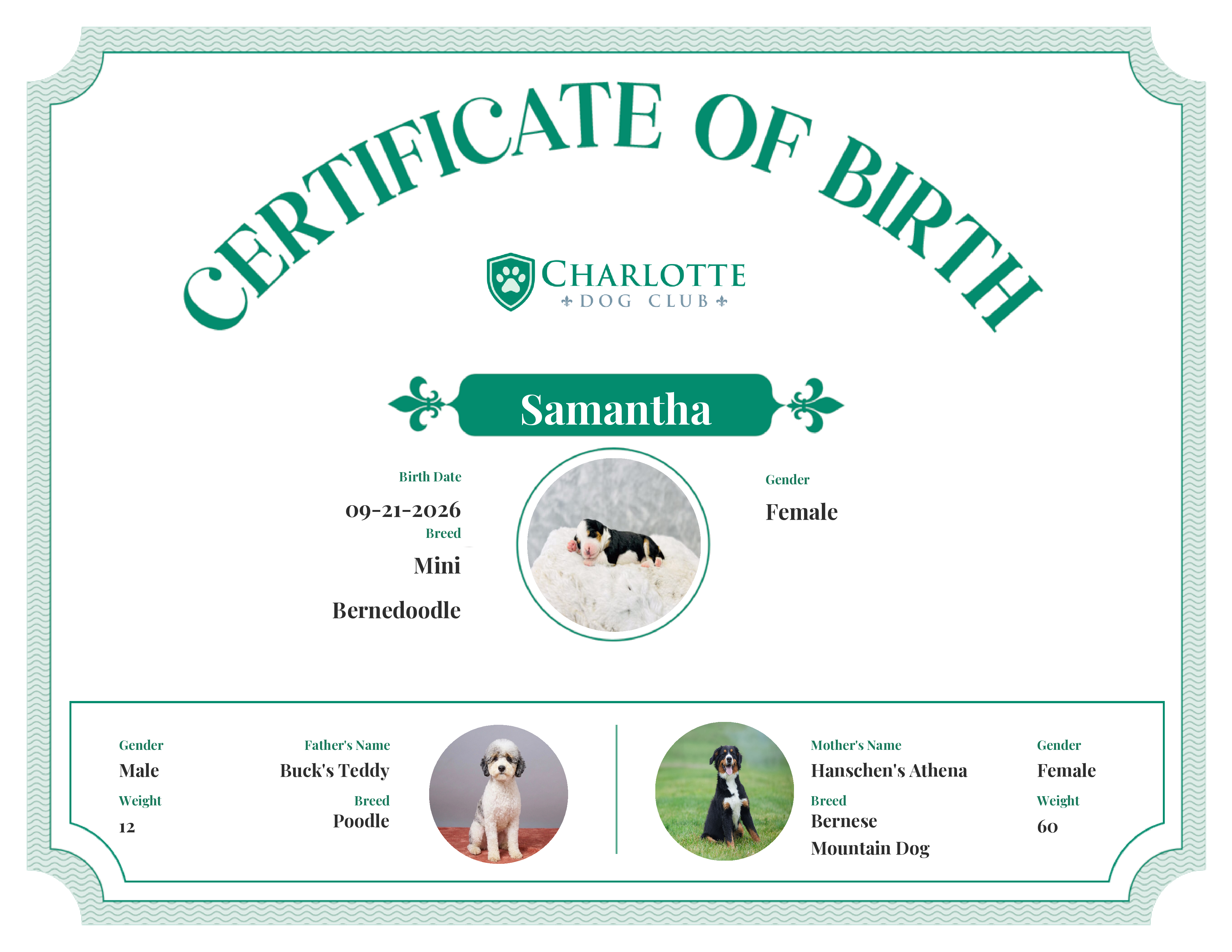 Samantha's Birth Certificate