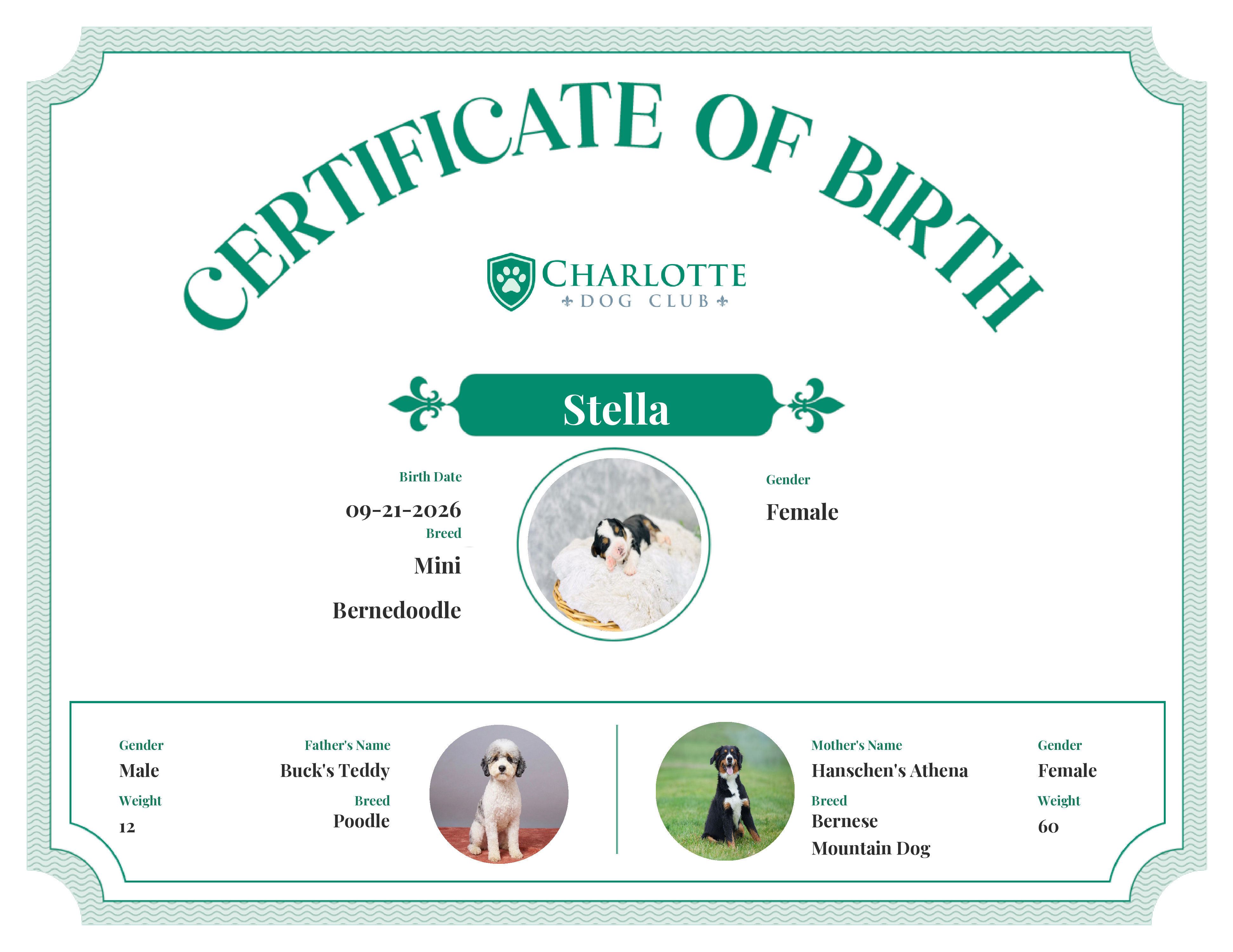 Stella's Birth Certificate
