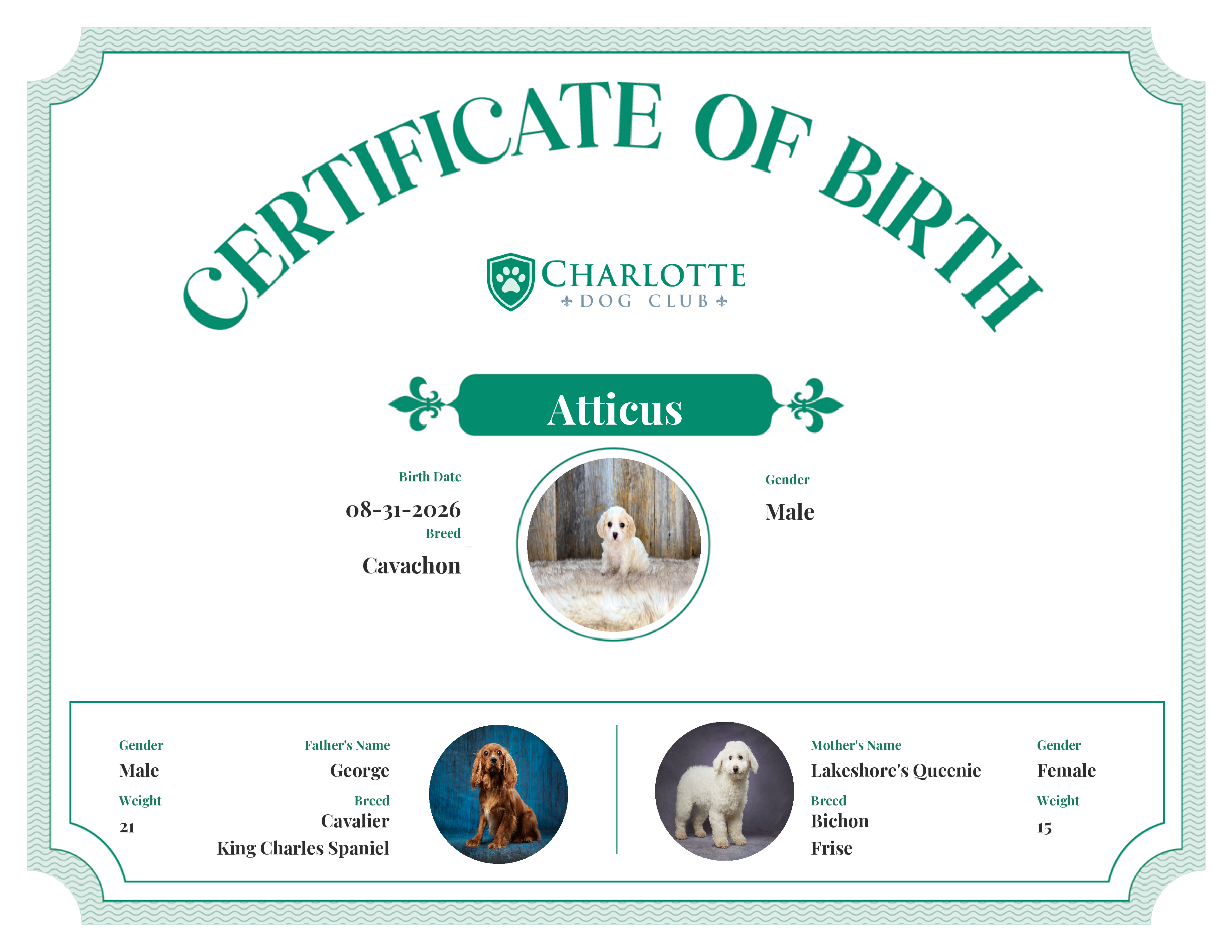 Atticus's Birth Certificate