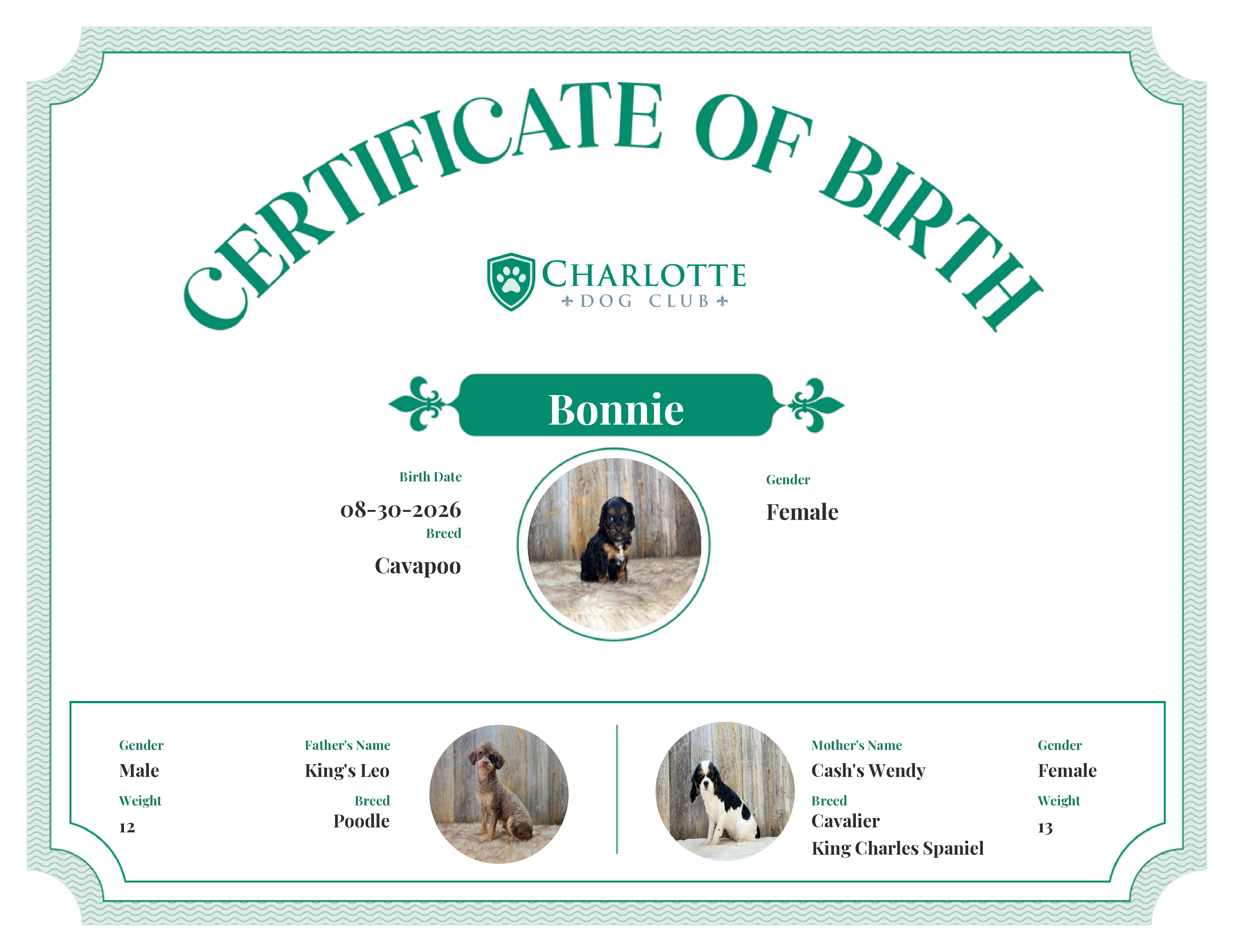Bonnie's Birth Certificate