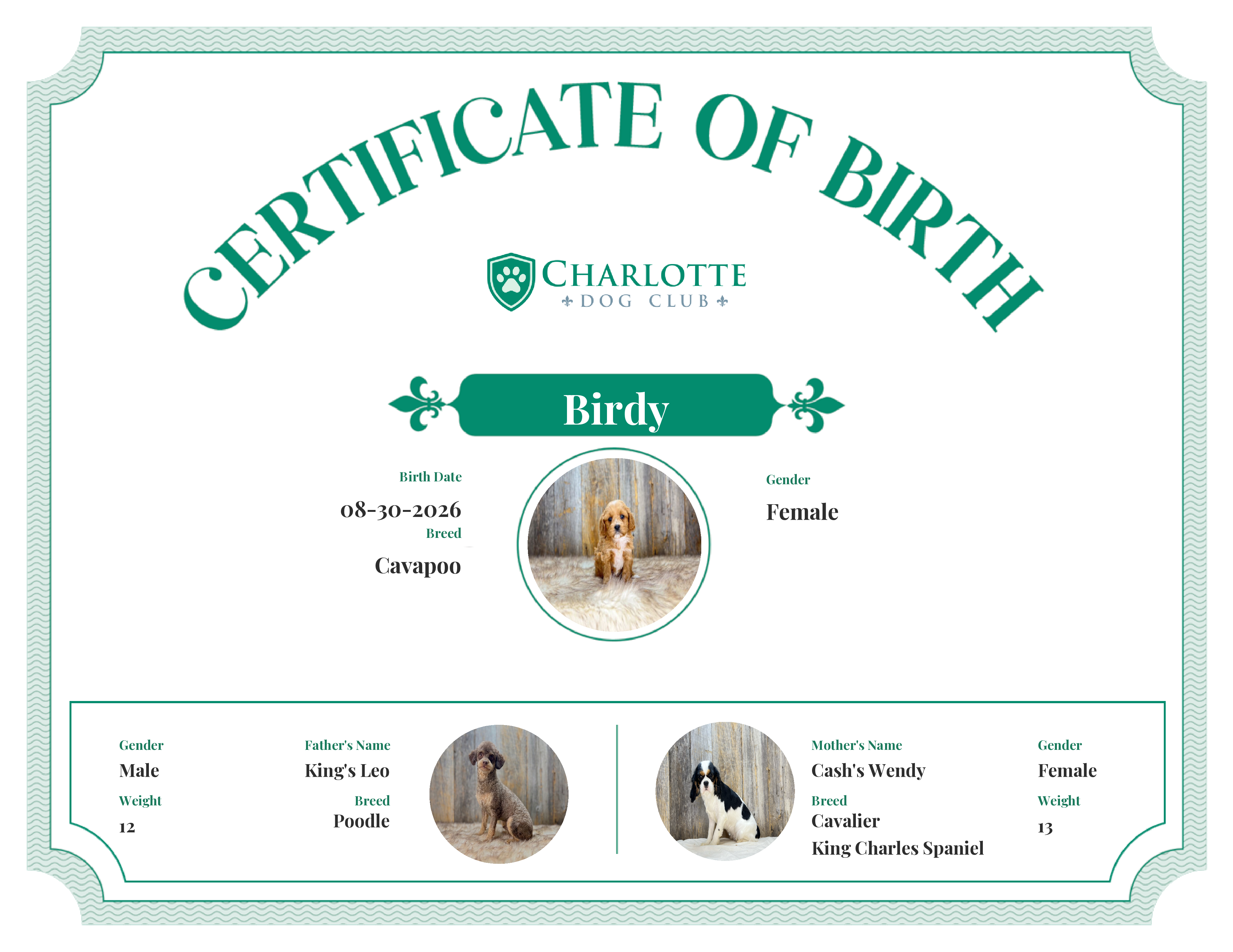 Birdy's Birth Certificate