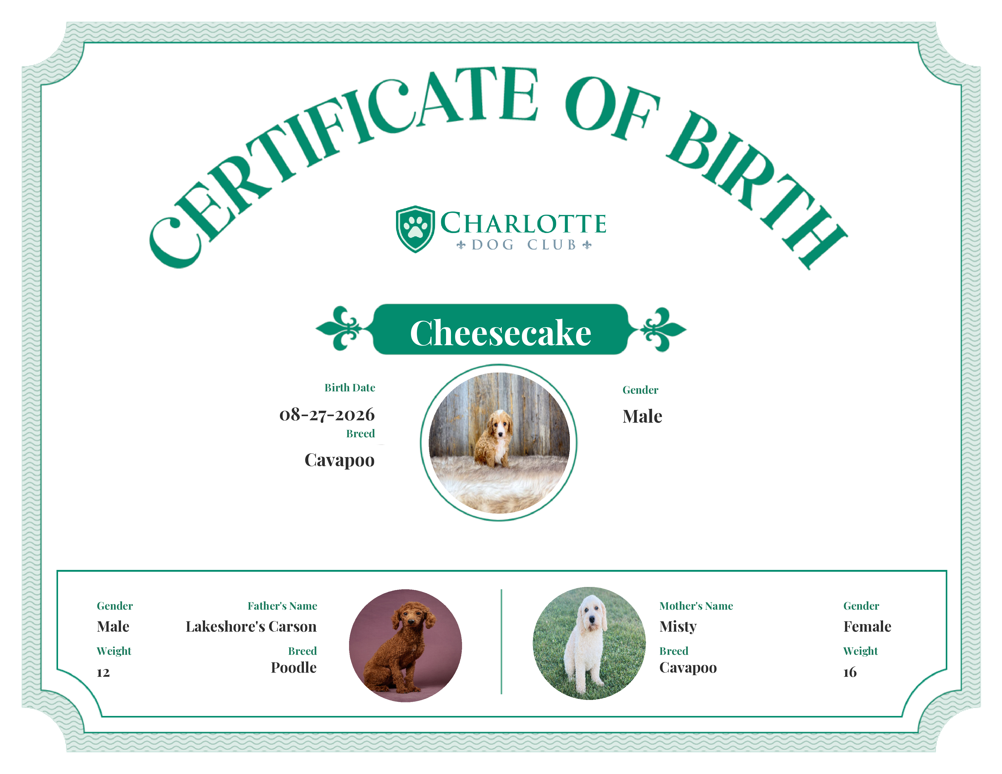 Cheesecake's Birth Certificate