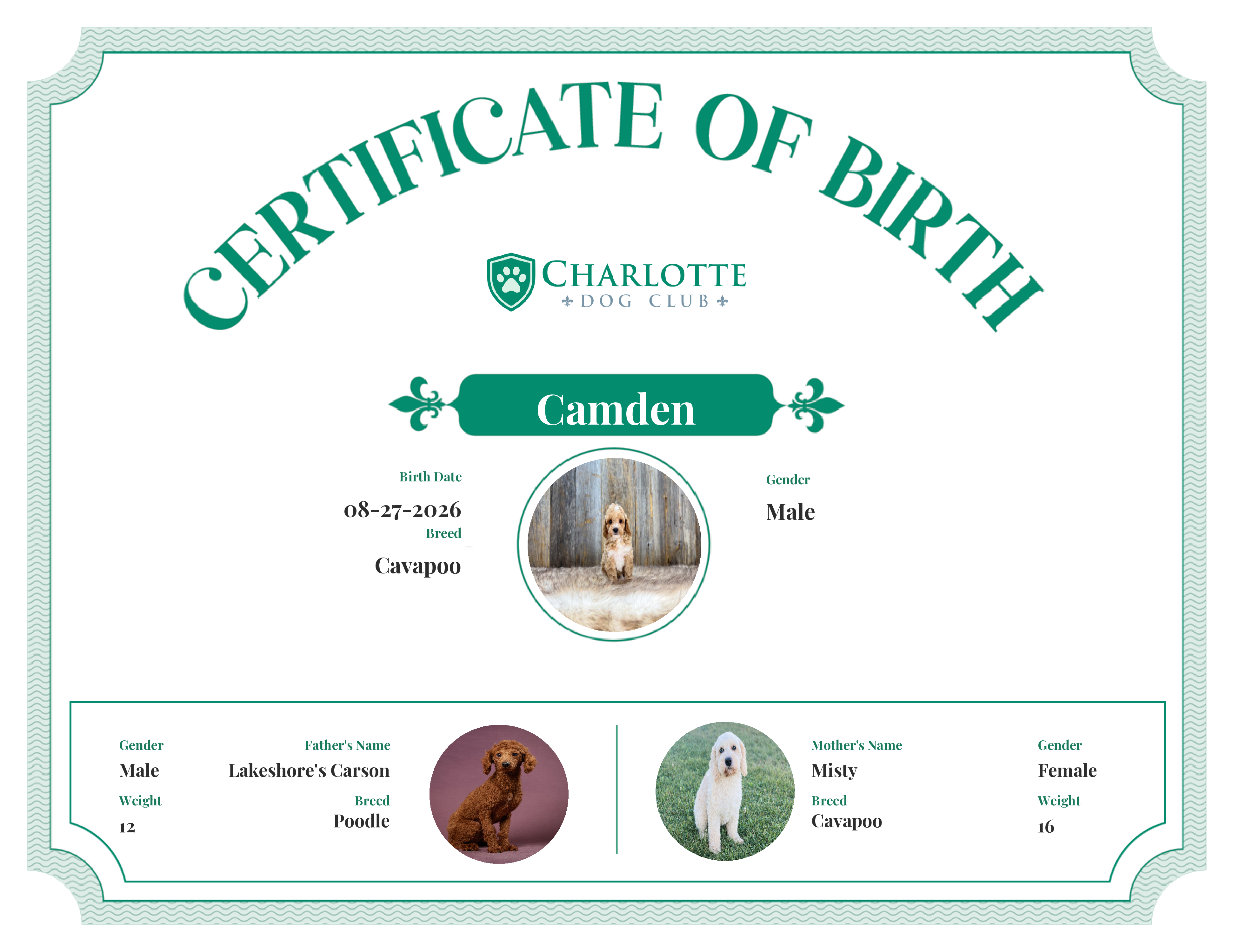 Camden's Birth Certificate