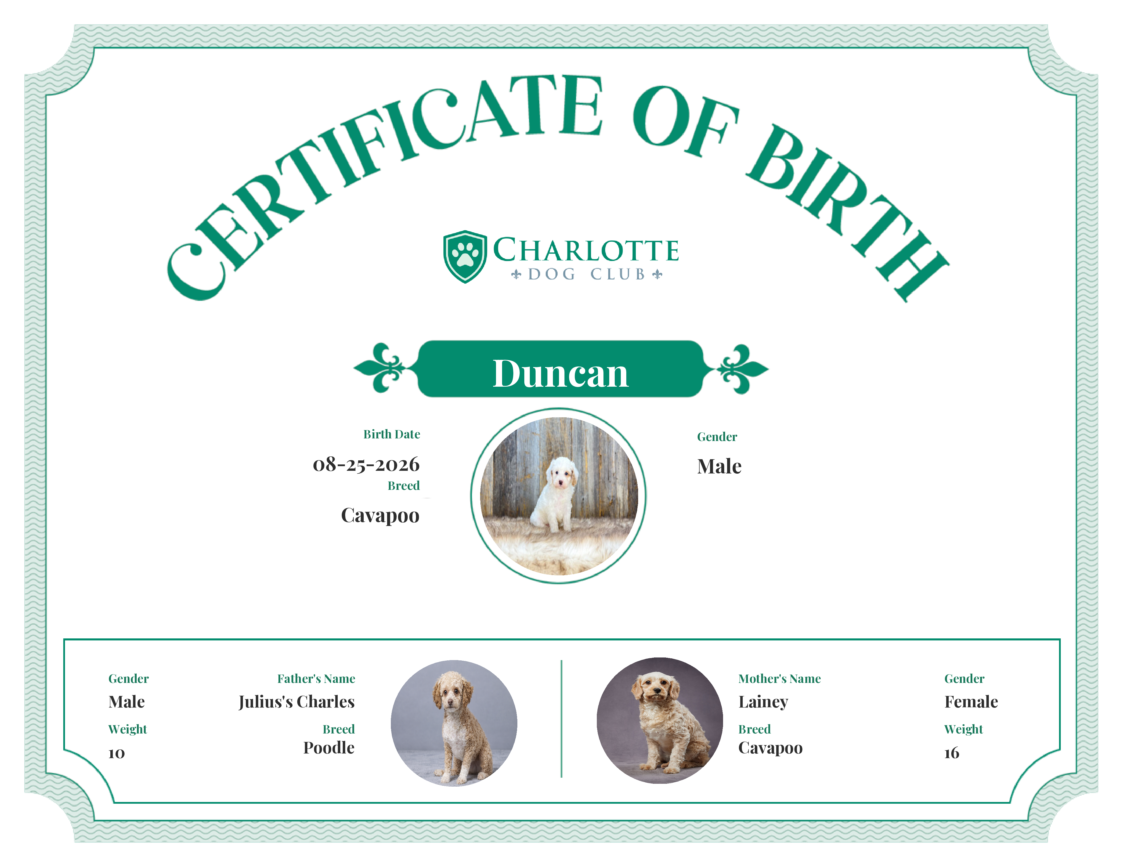 Duncan's Birth Certificate