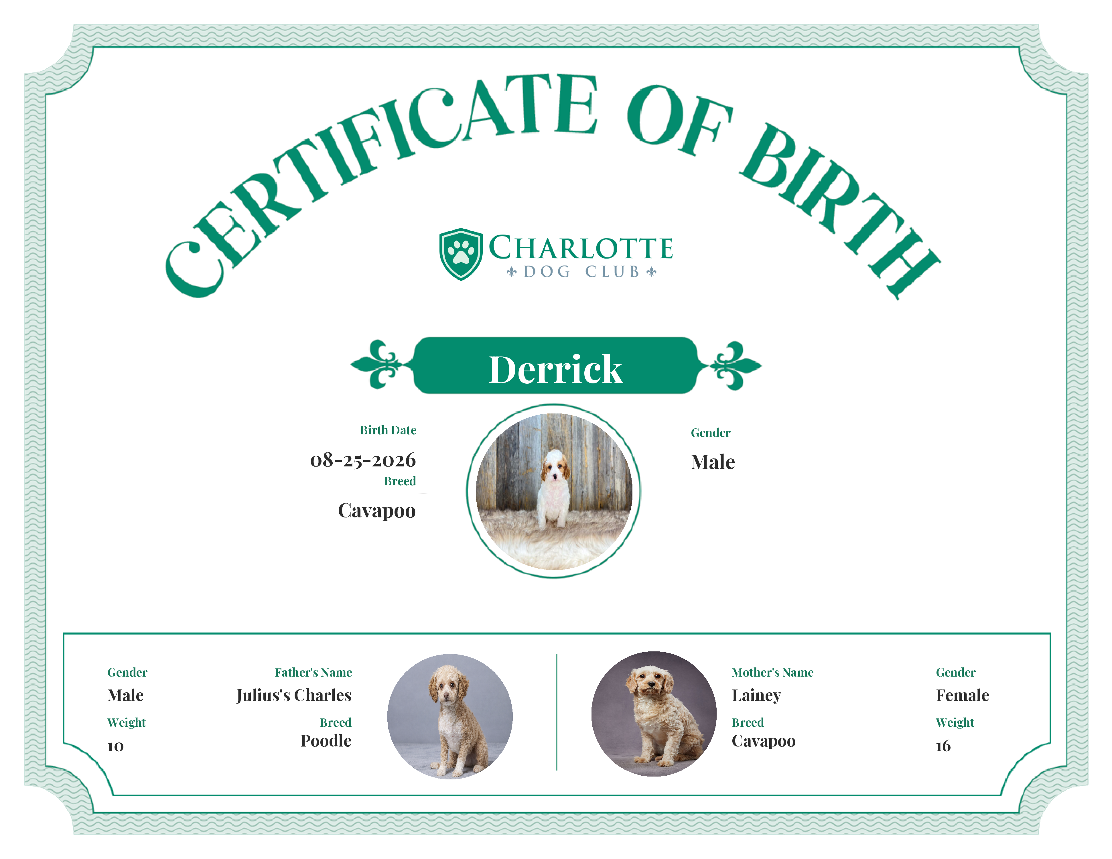 Derrick's Birth Certificate