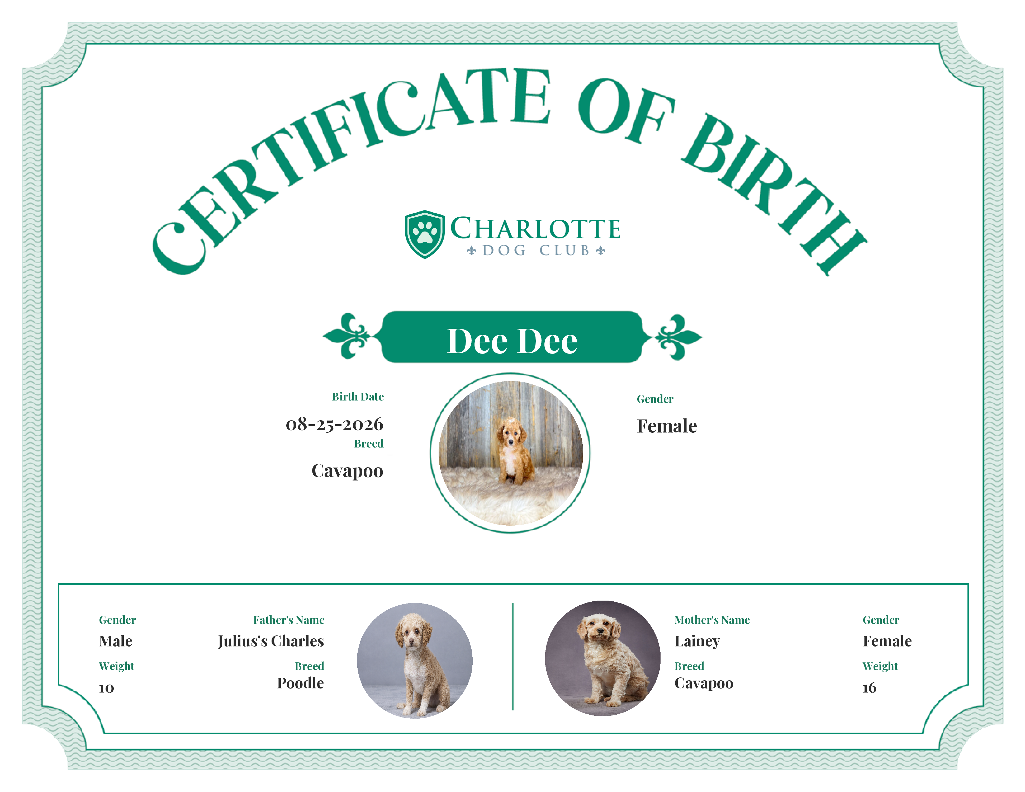 Dee Dee's Birth Certificate