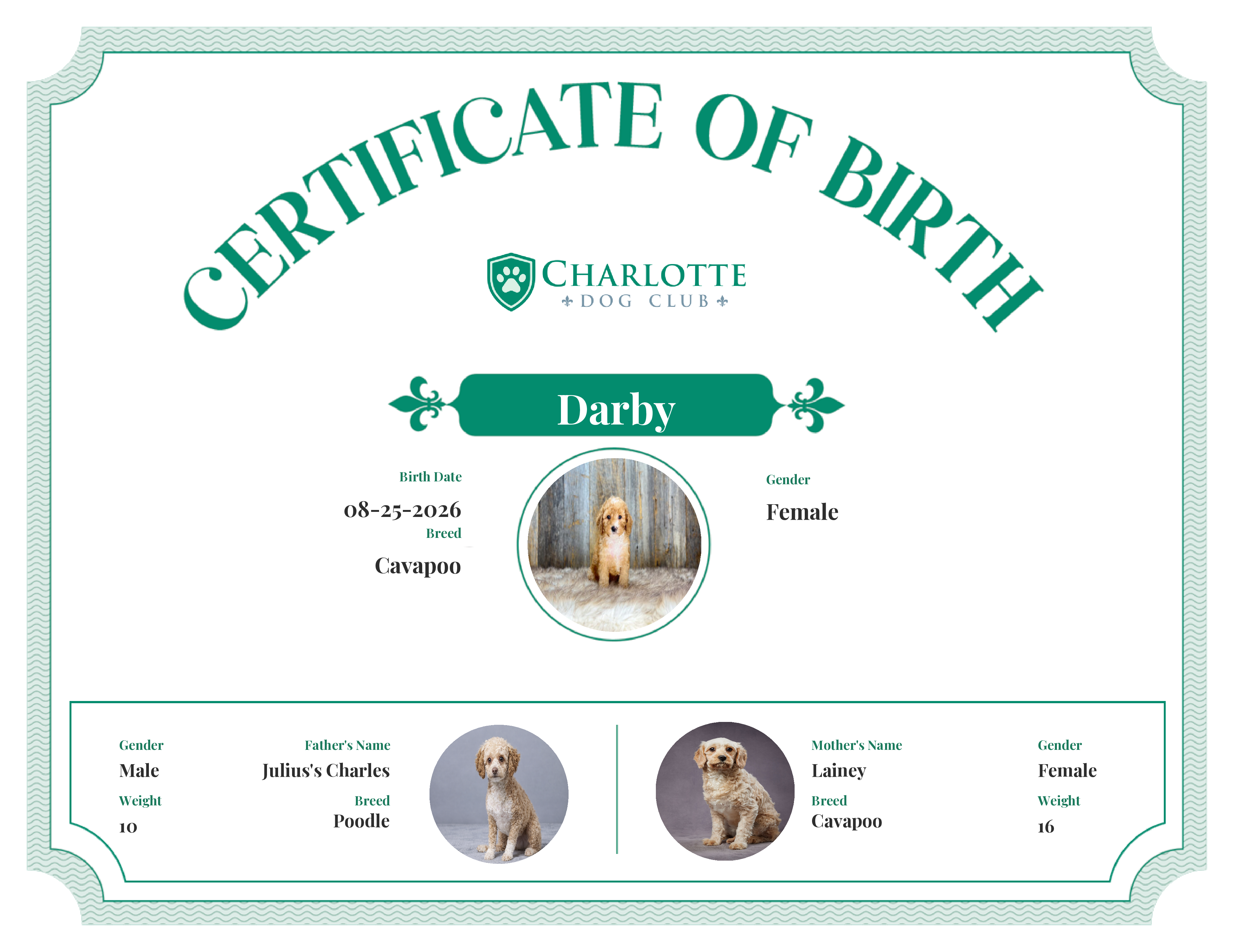 Darby's Birth Certificate