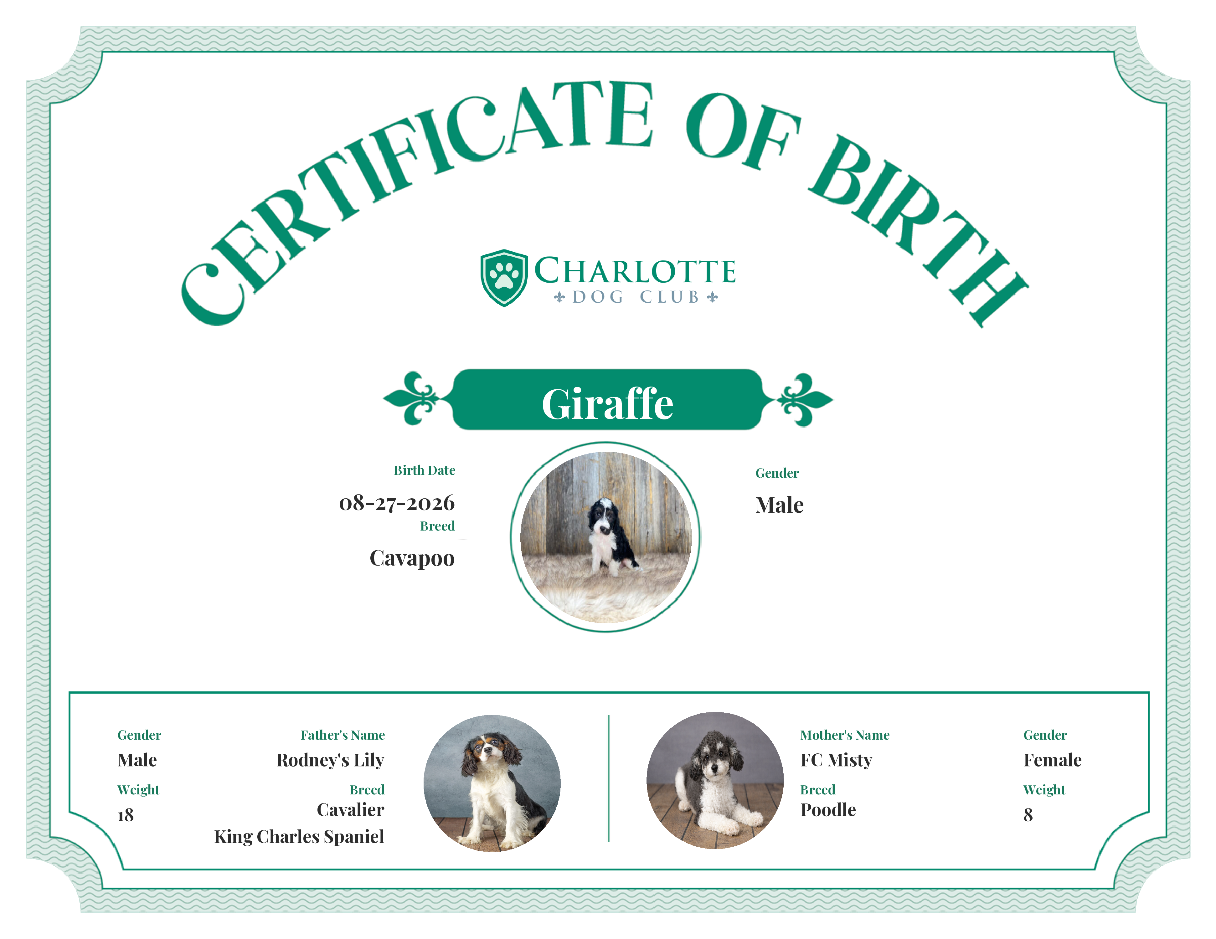 Giraffe's Birth Certificate