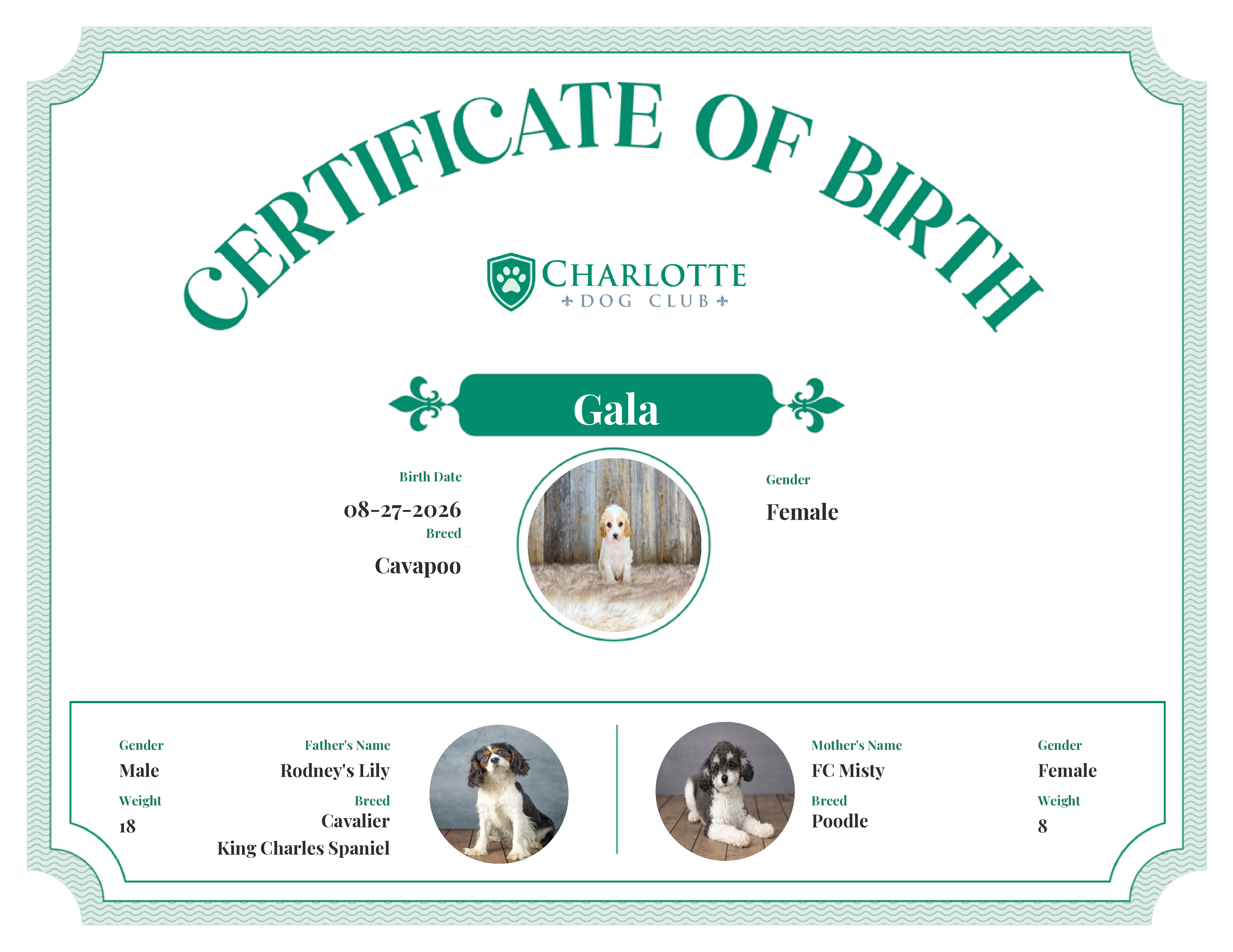 Gala's Birth Certificate