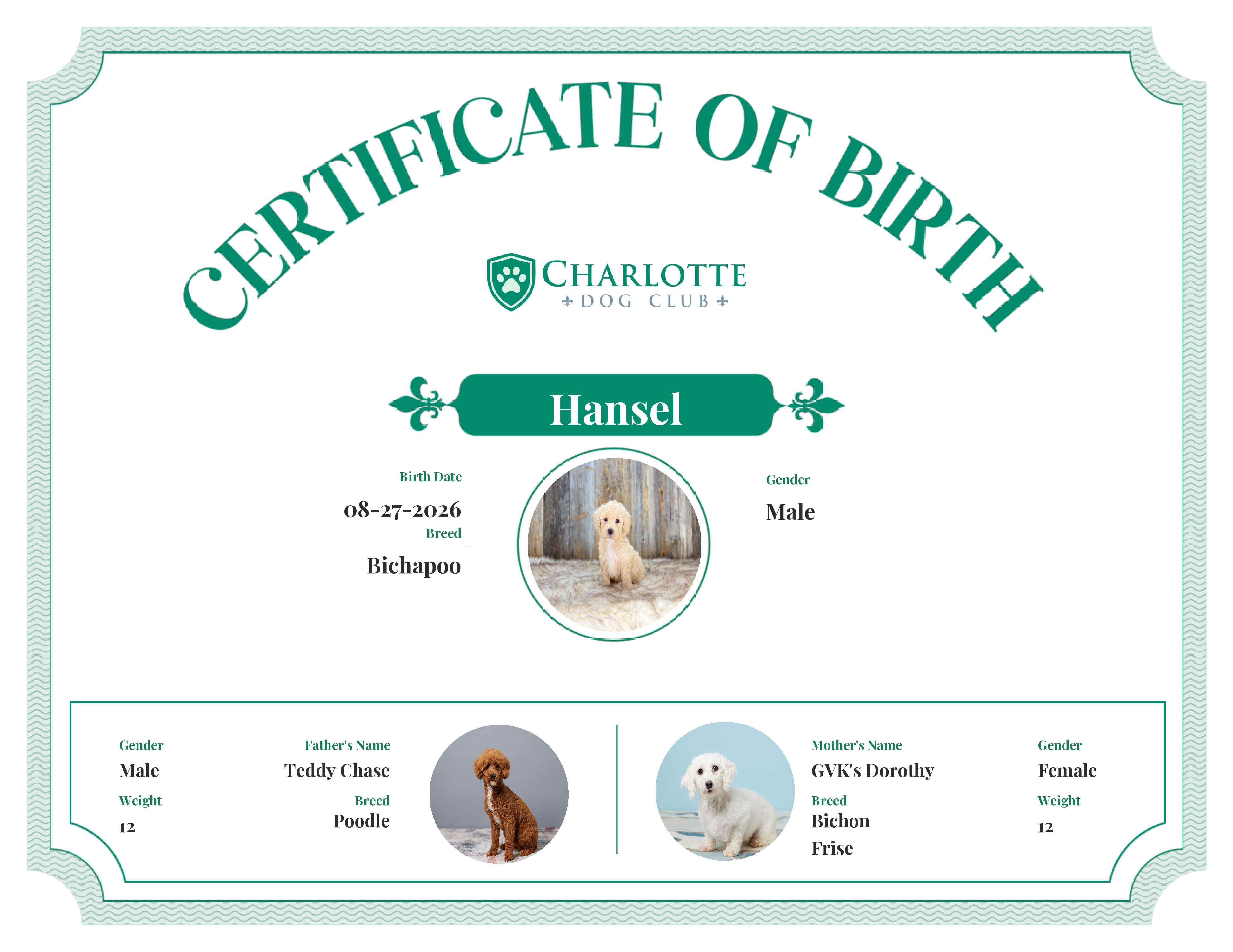 Hansel's Birth Certificate