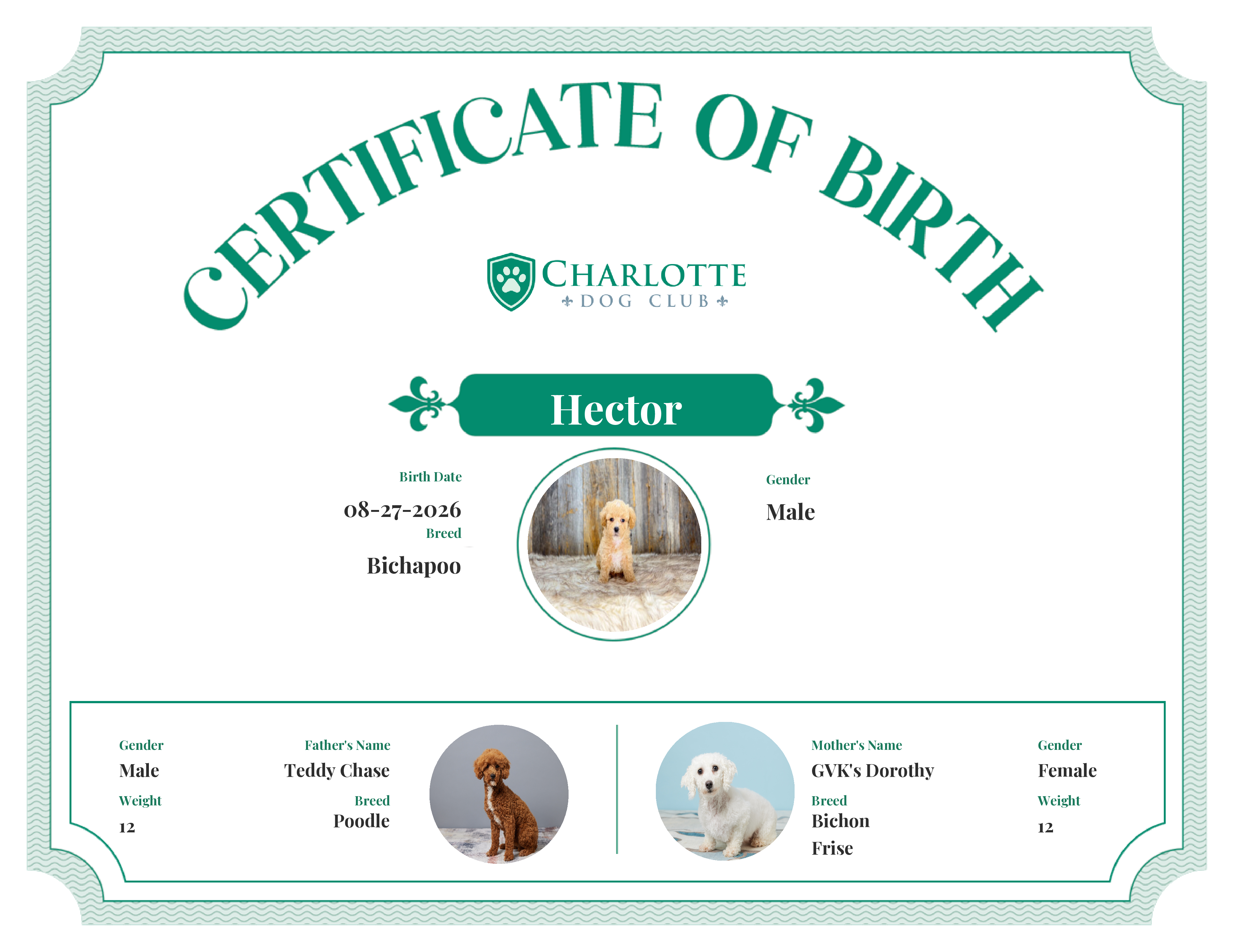 Hector's Birth Certificate