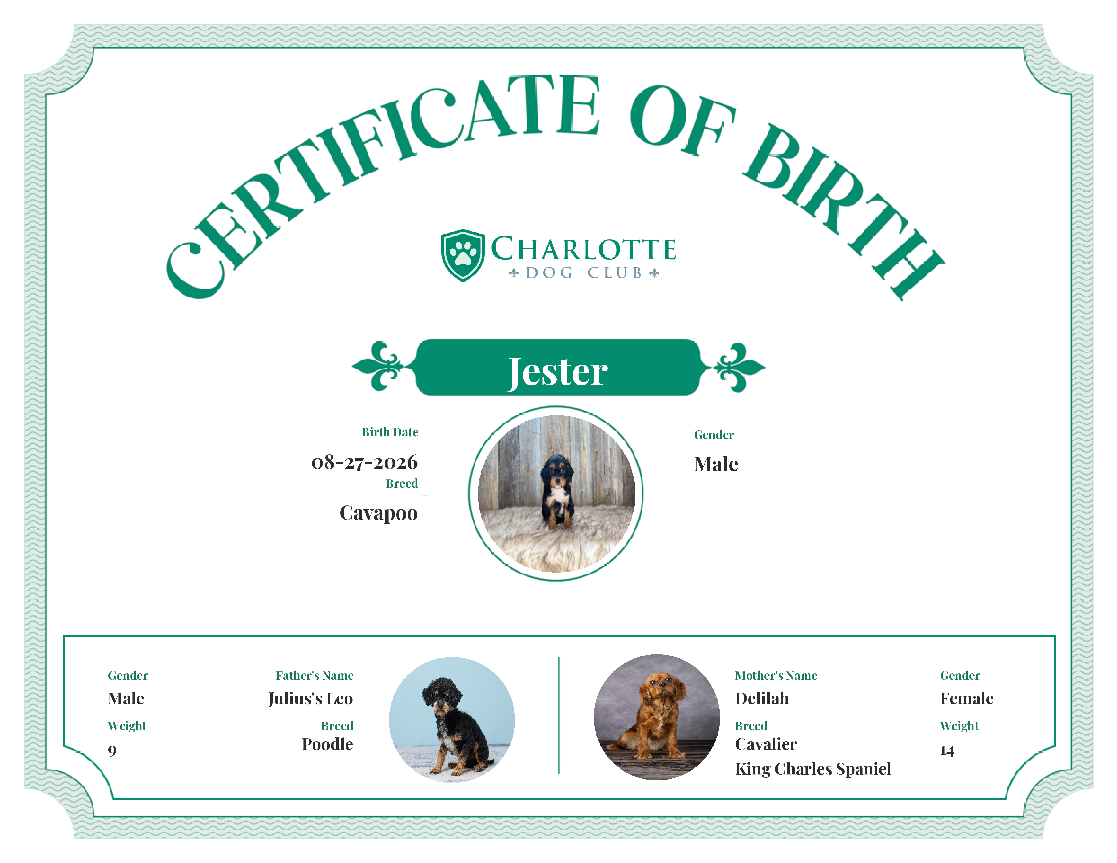 Jester's Birth Certificate