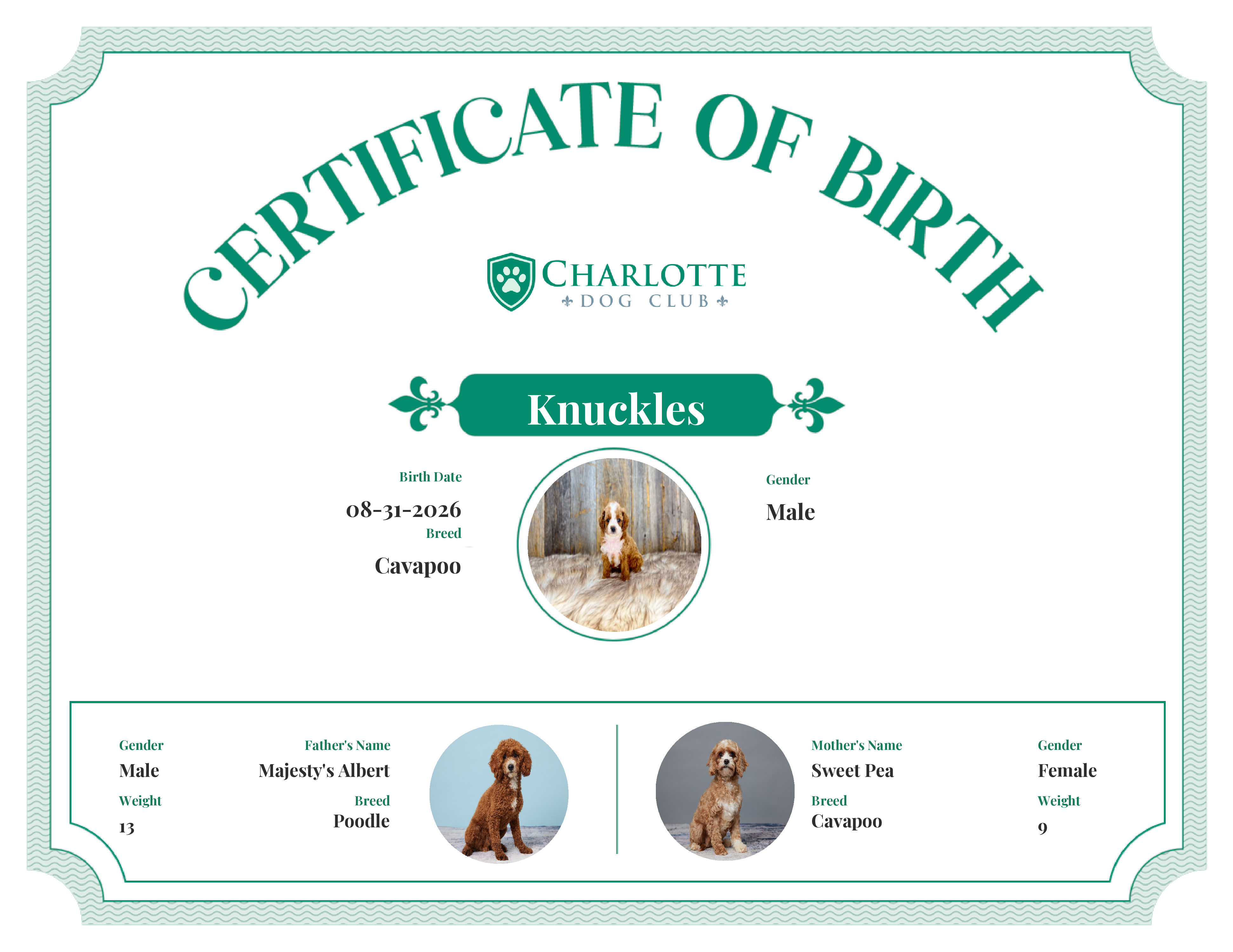 Knuckles's Birth Certificate