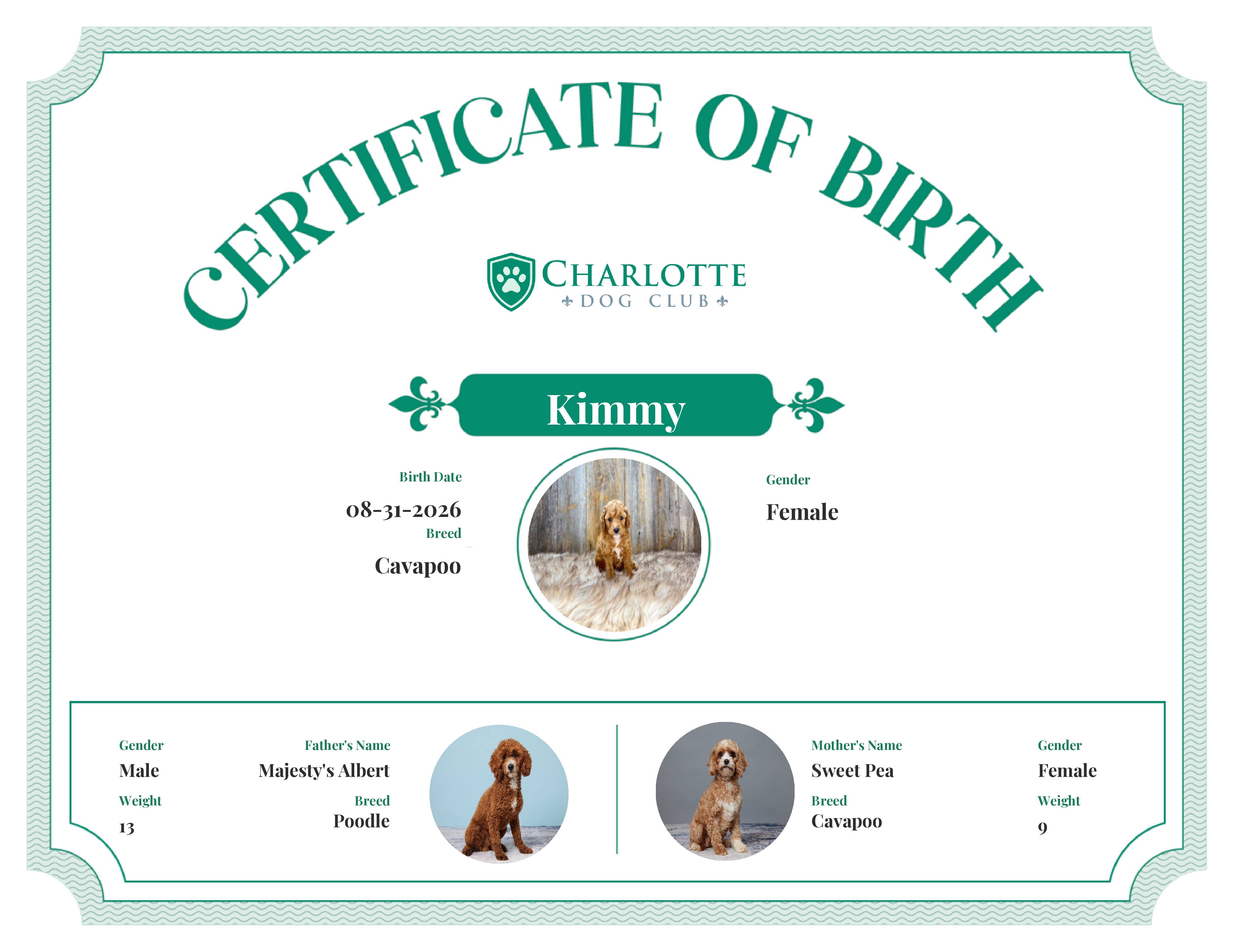 Kimmy's Birth Certificate