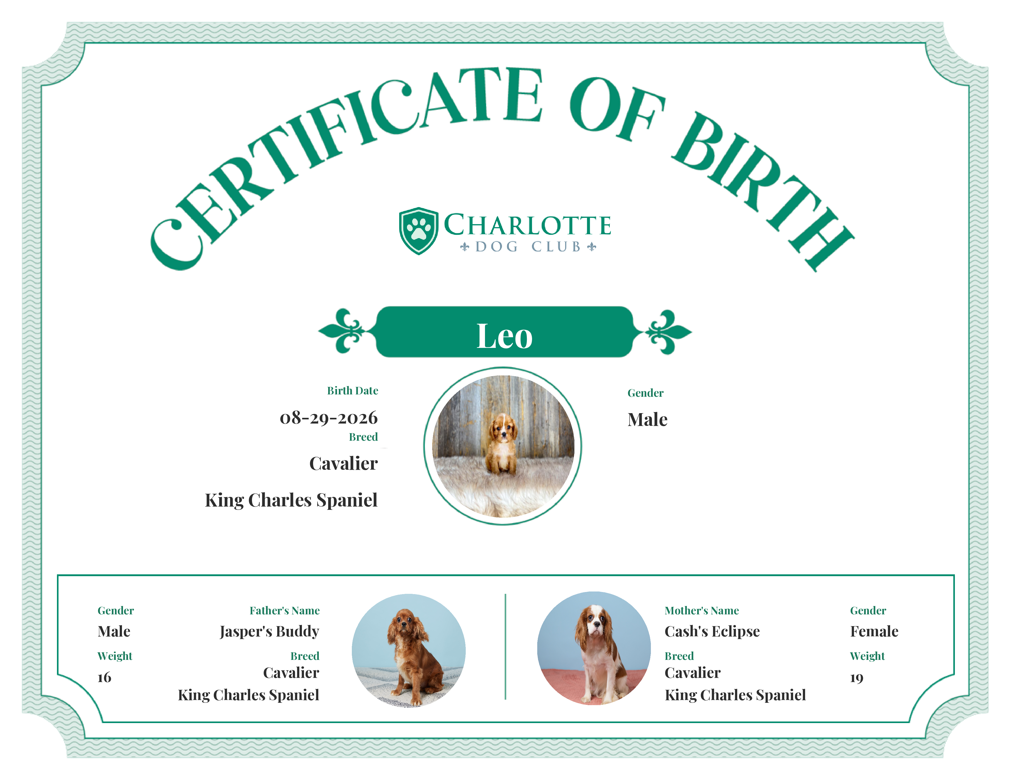 Leo's Birth Certificate
