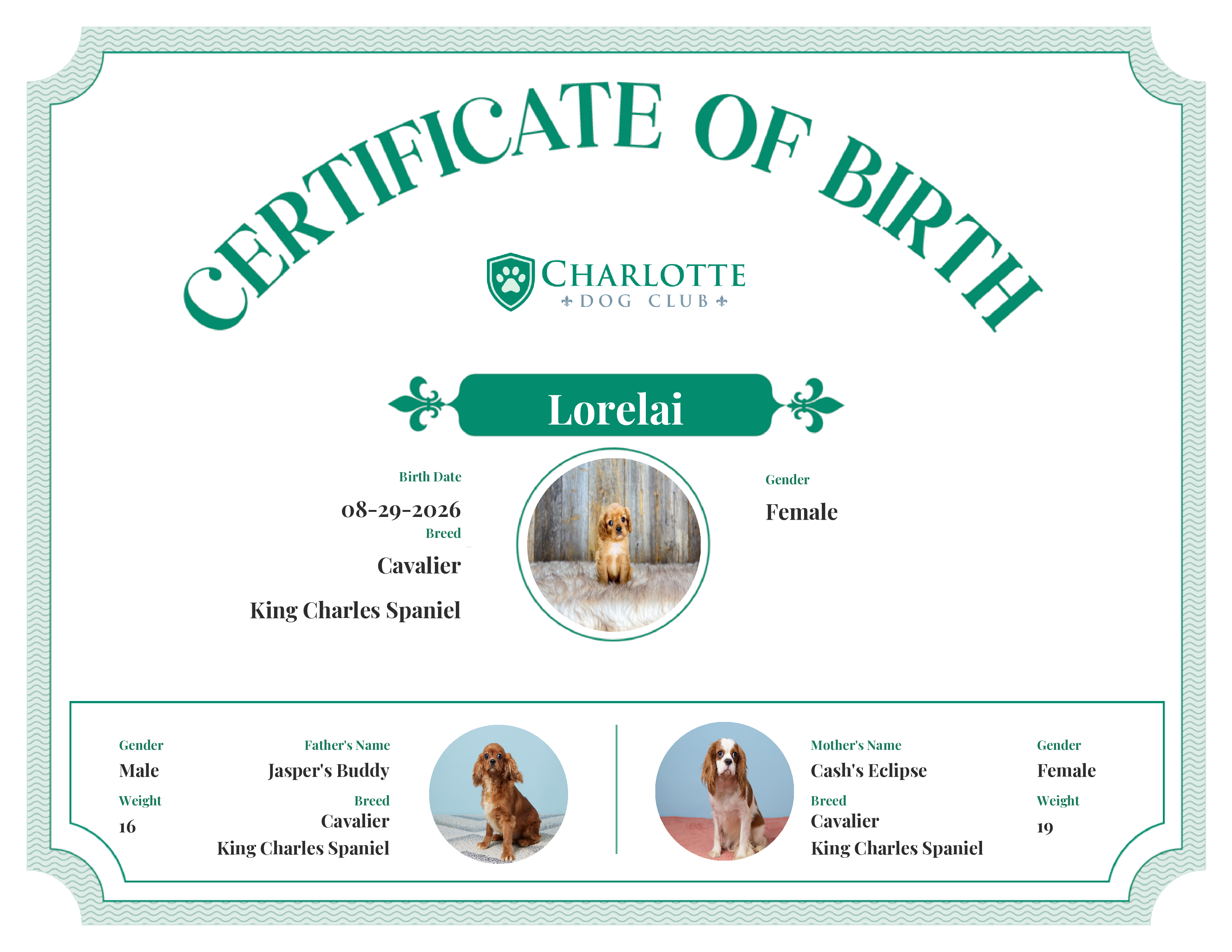 Lorelai's Birth Certificate