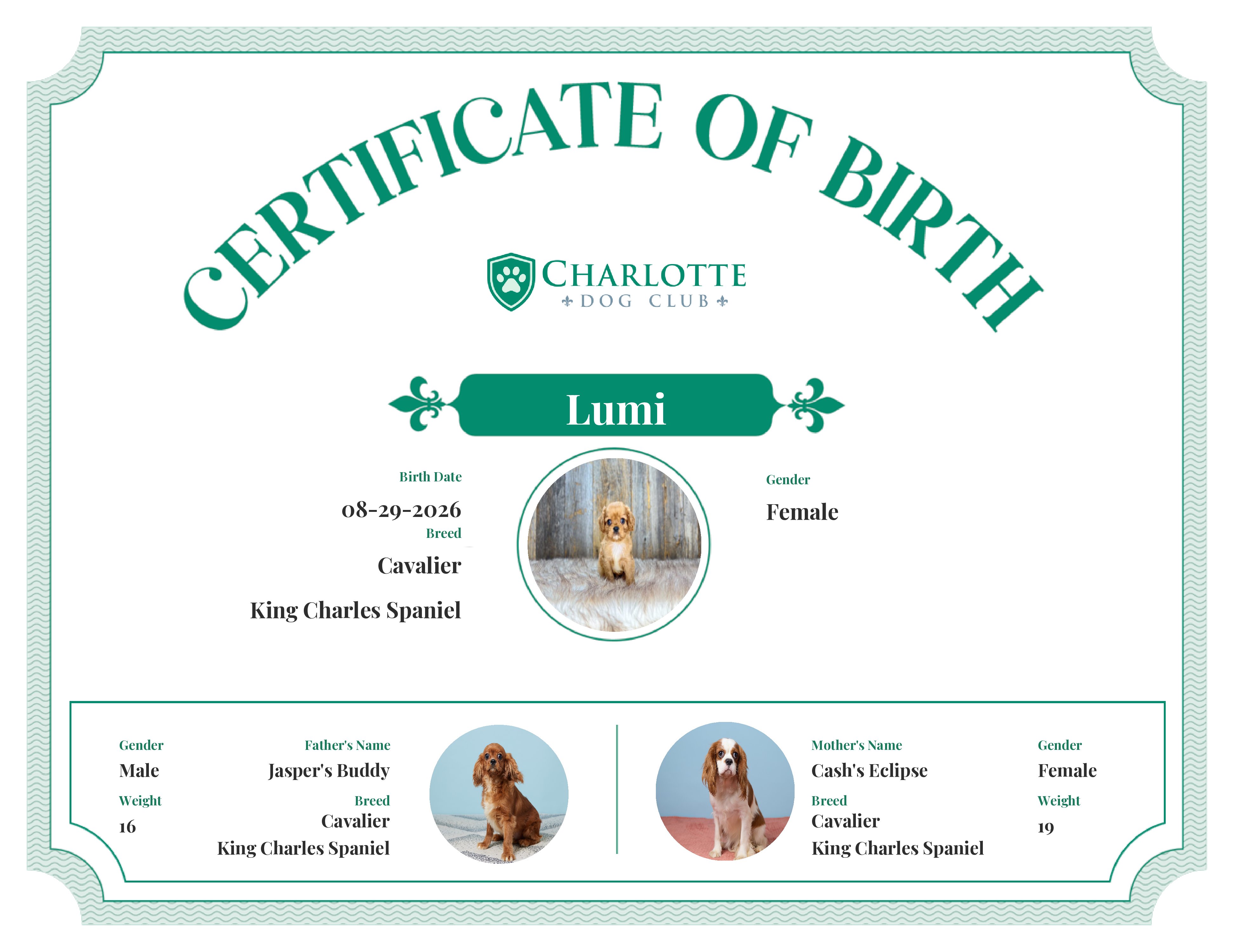 Lumi's Birth Certificate