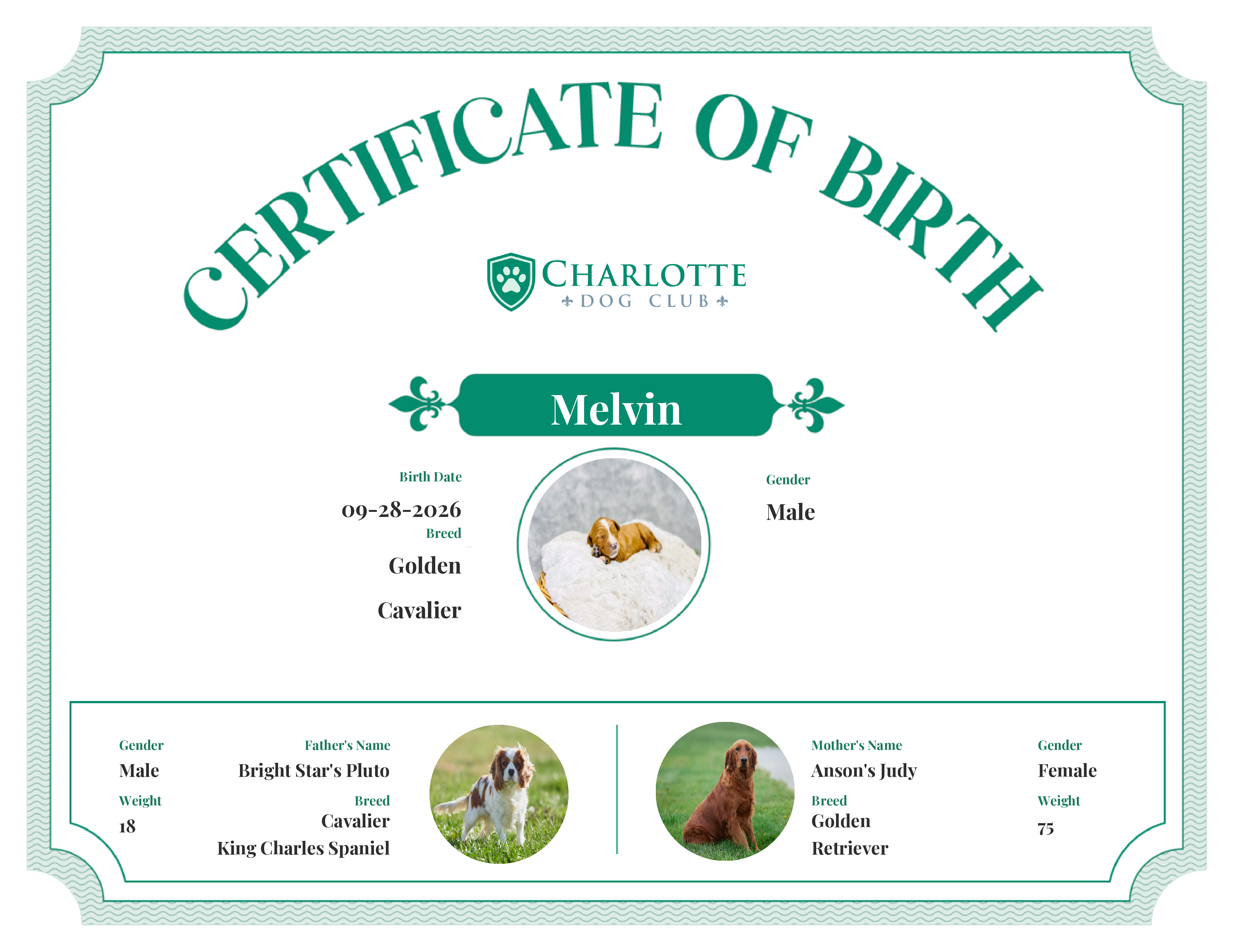 Melvin's Birth Certificate