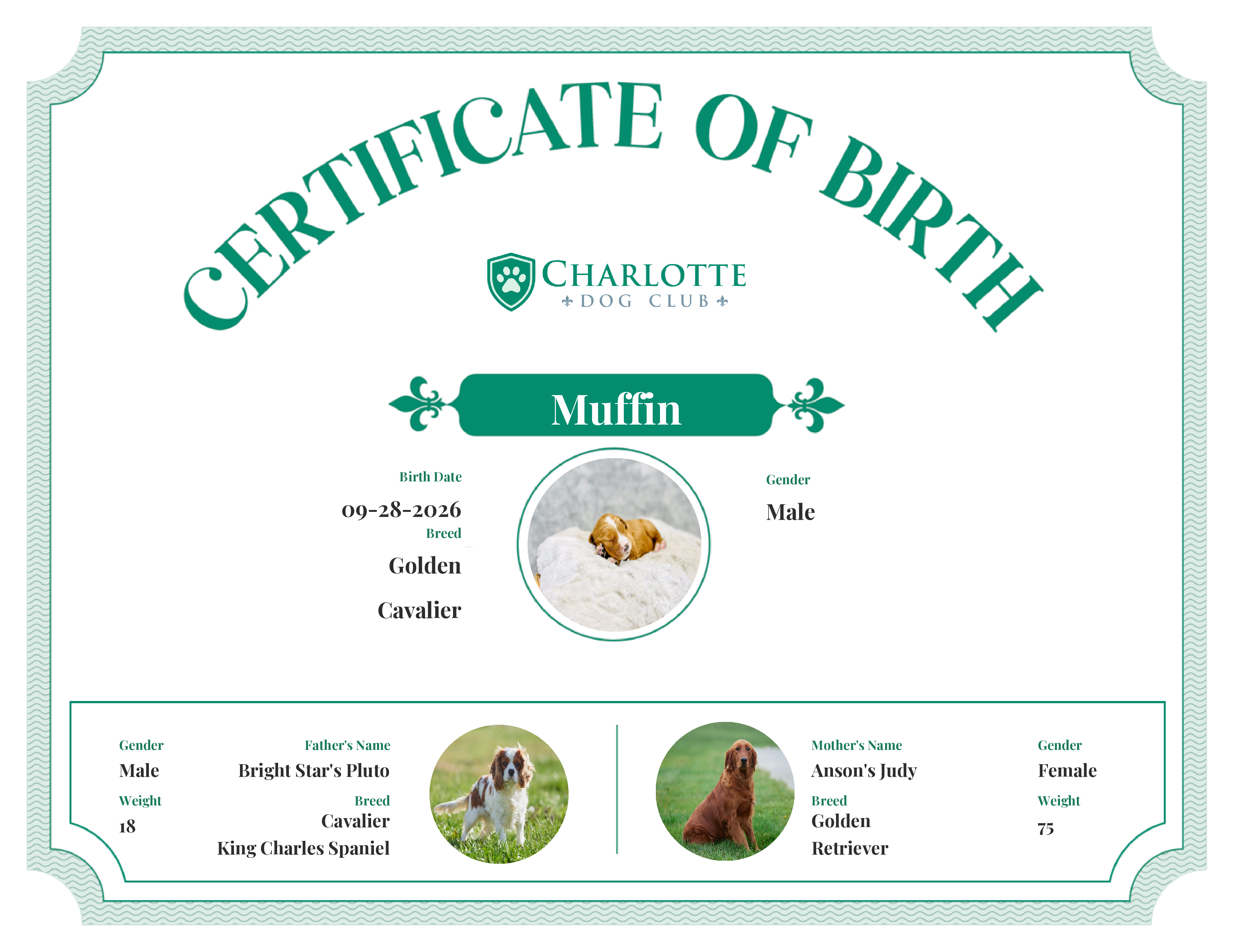 Muffin's Birth Certificate