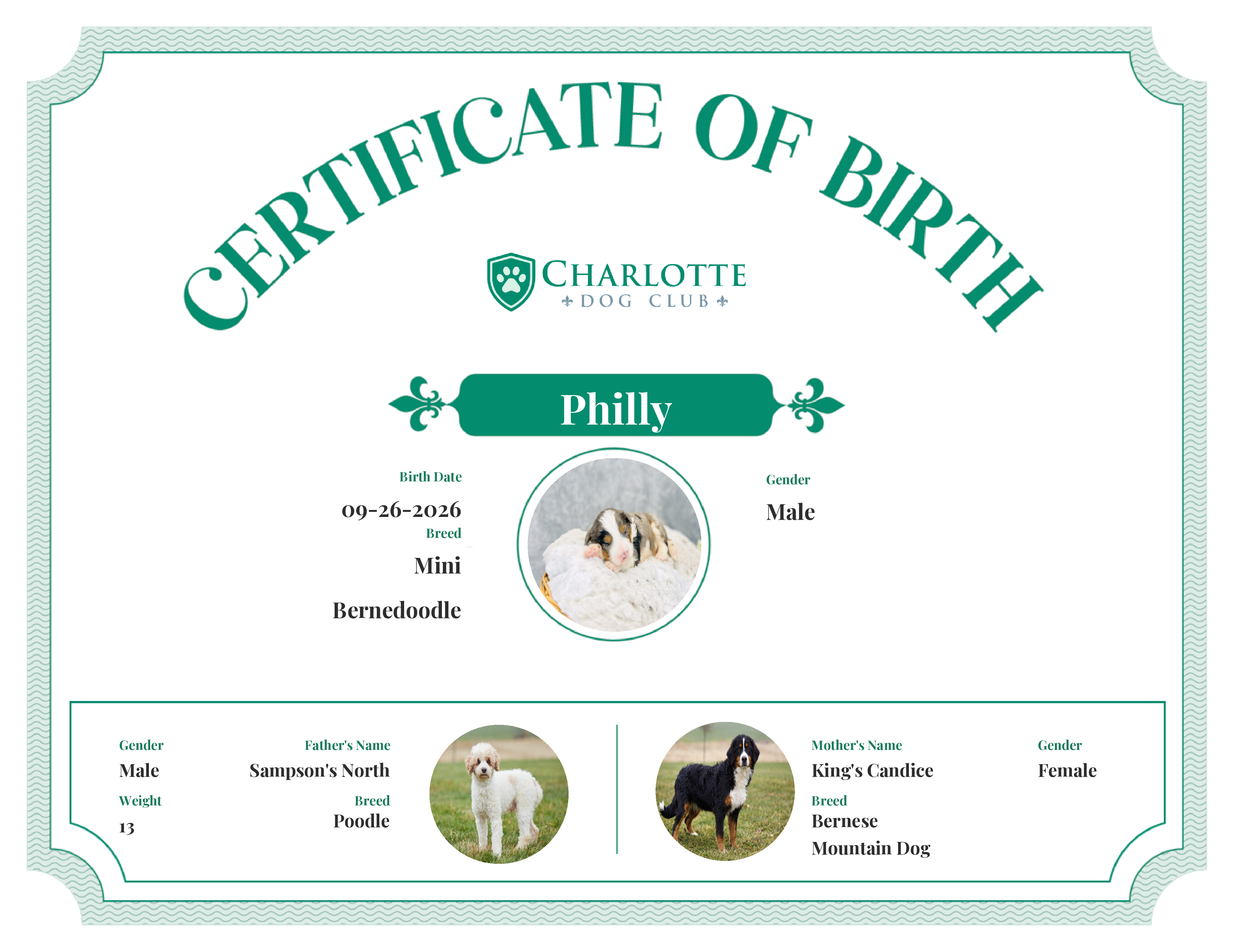 Philly's Birth Certificate