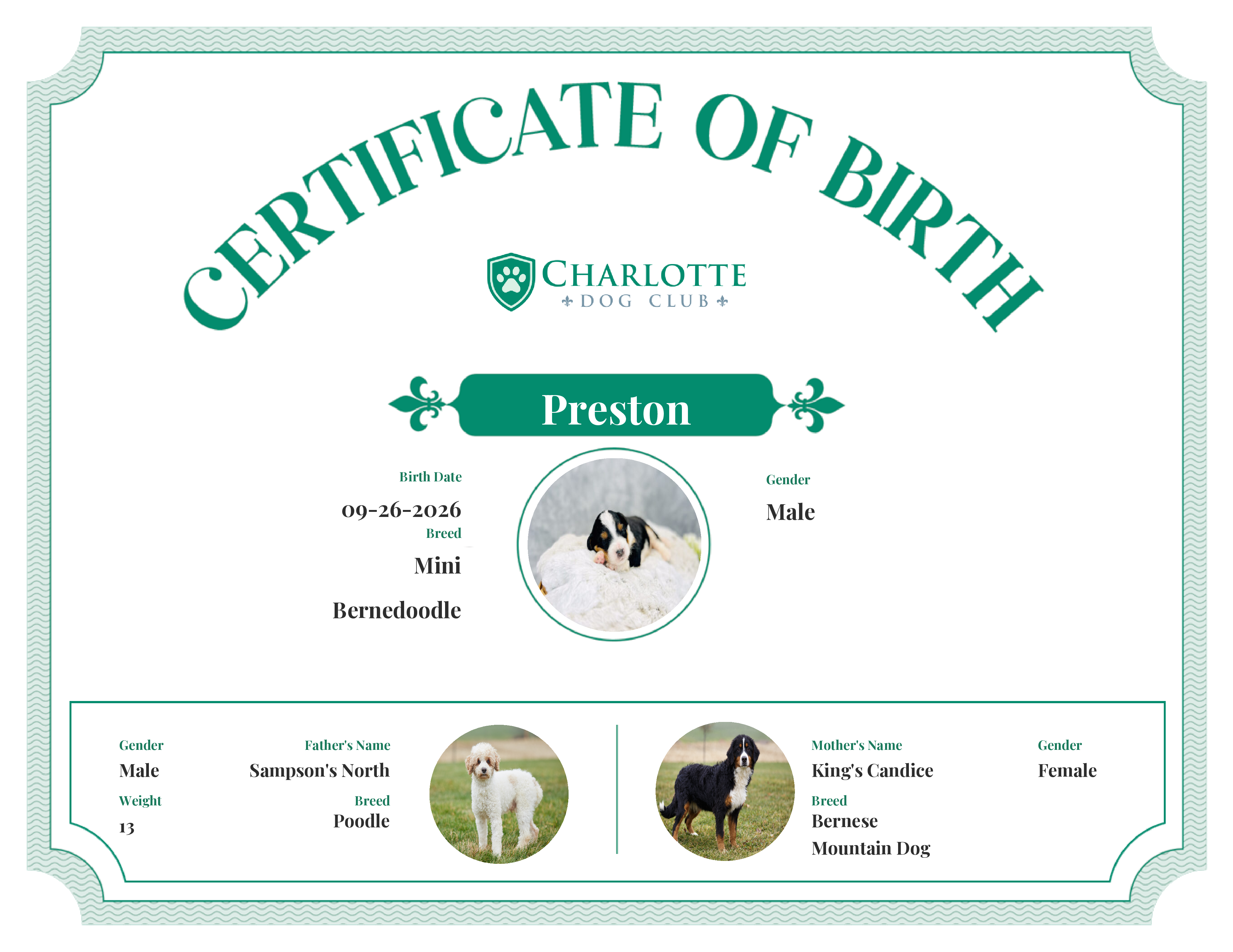 Preston's Birth Certificate