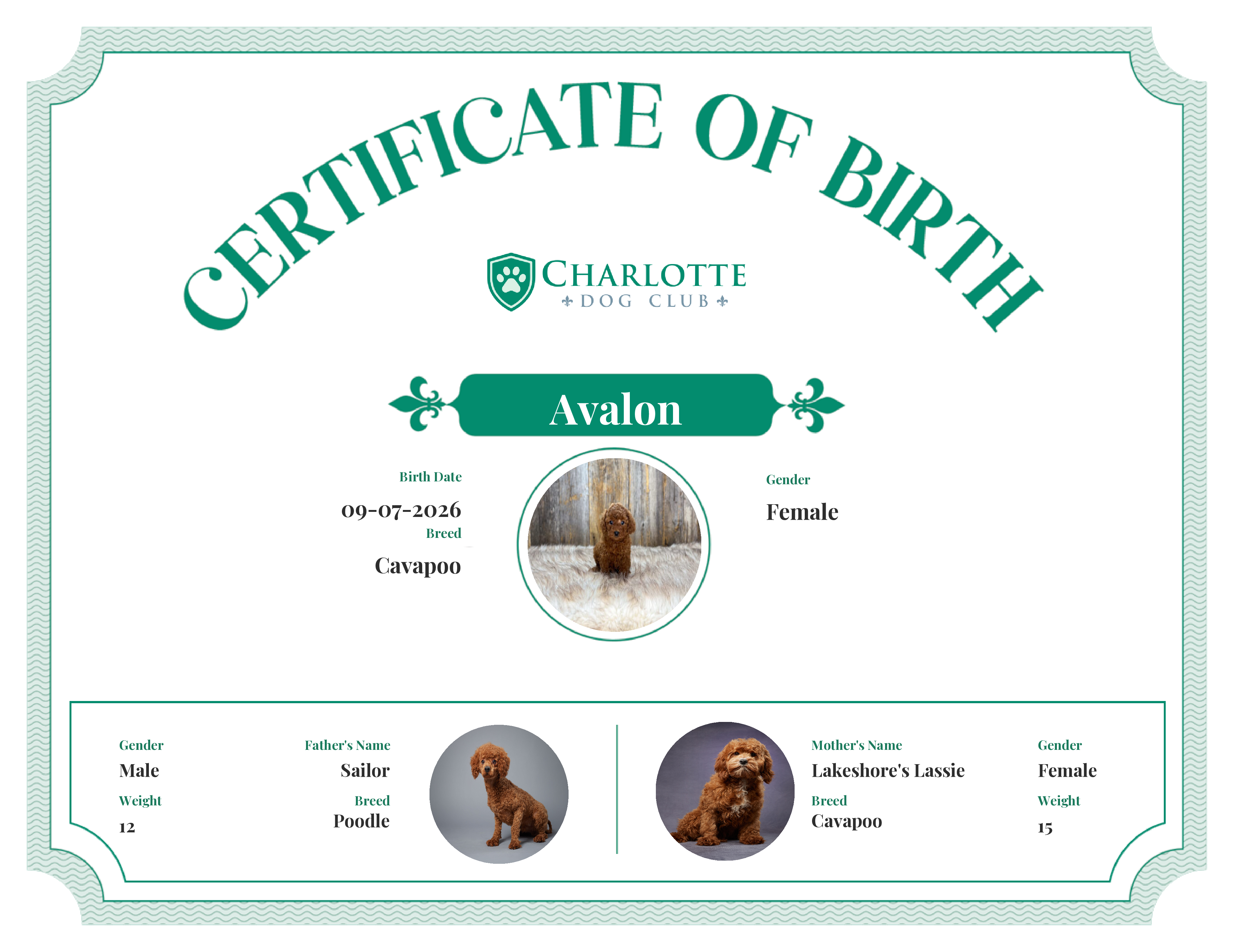 Avalon's Birth Certificate