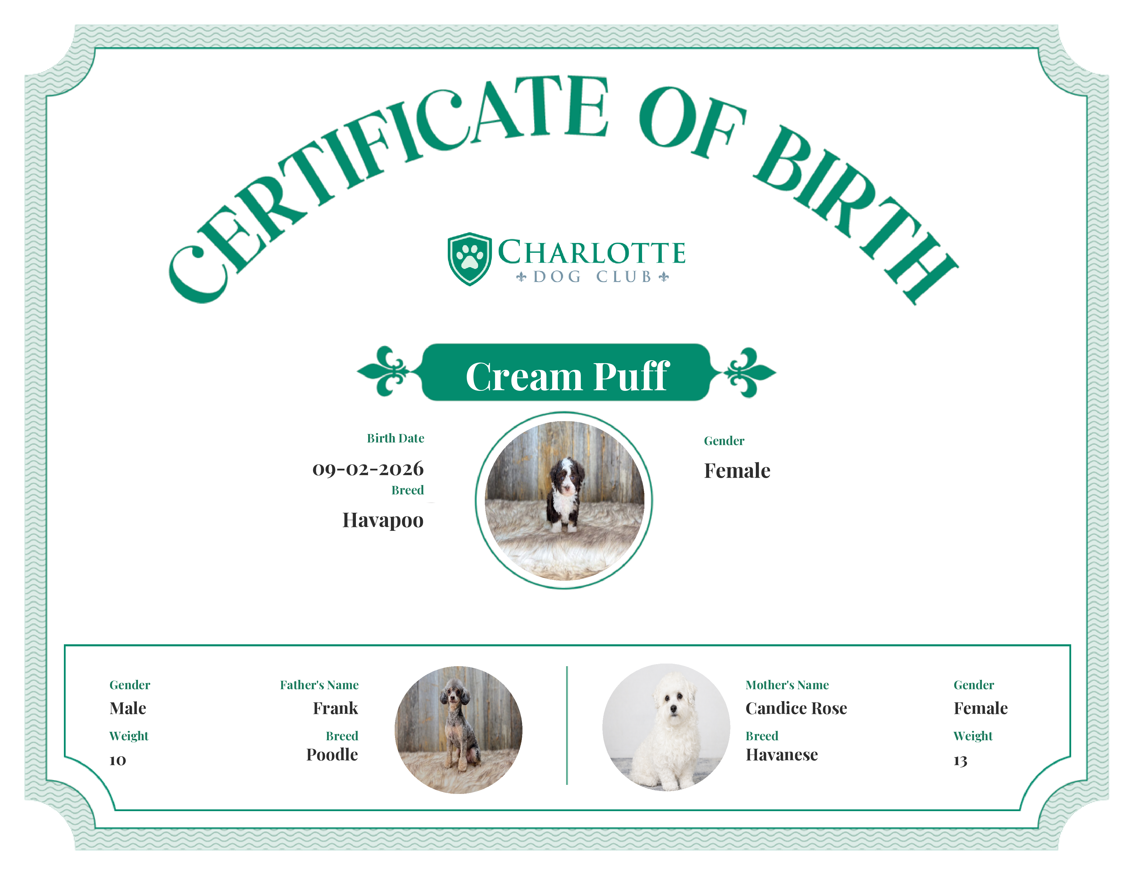 Cream Puff's Birth Certificate