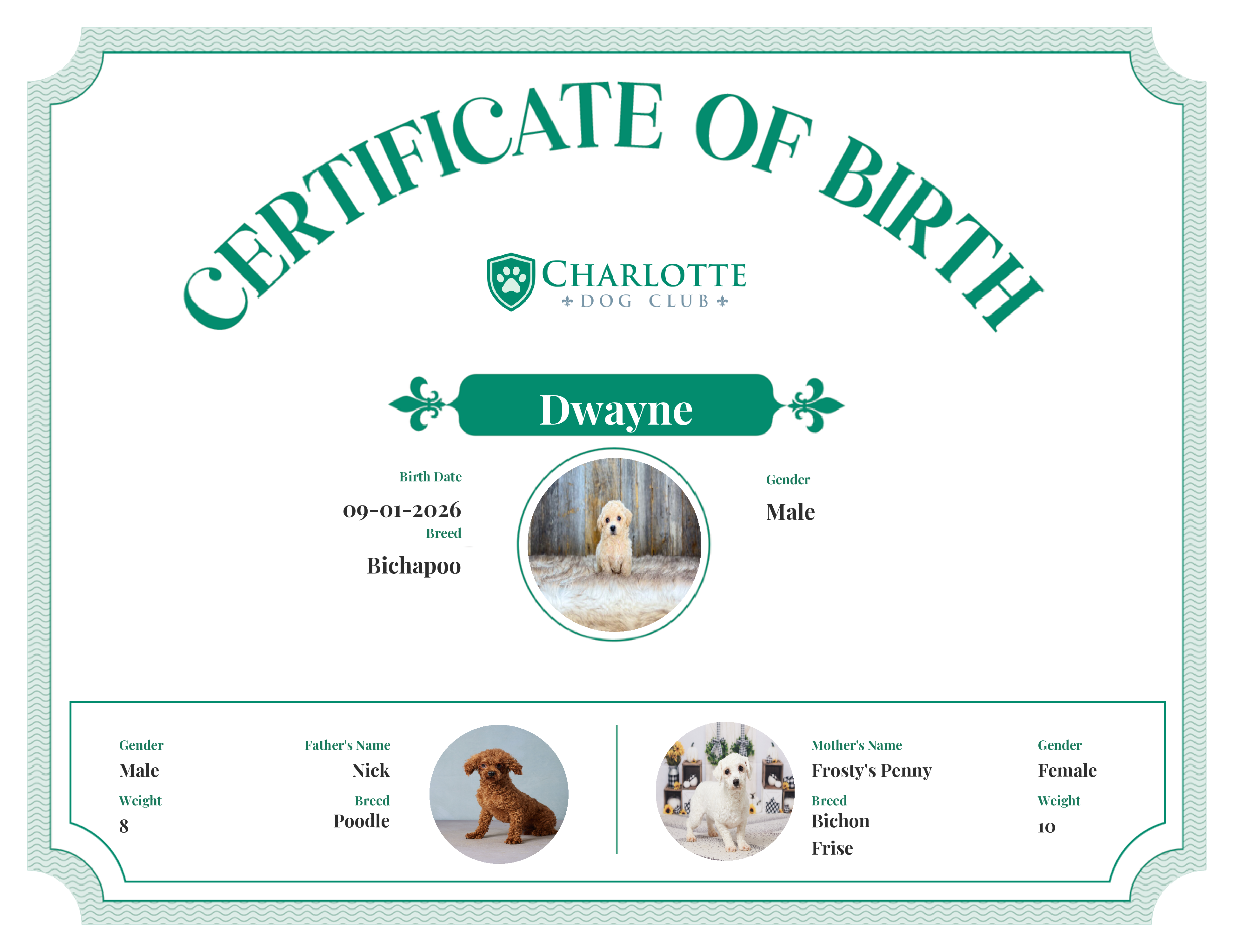 Dwayne's Birth Certificate