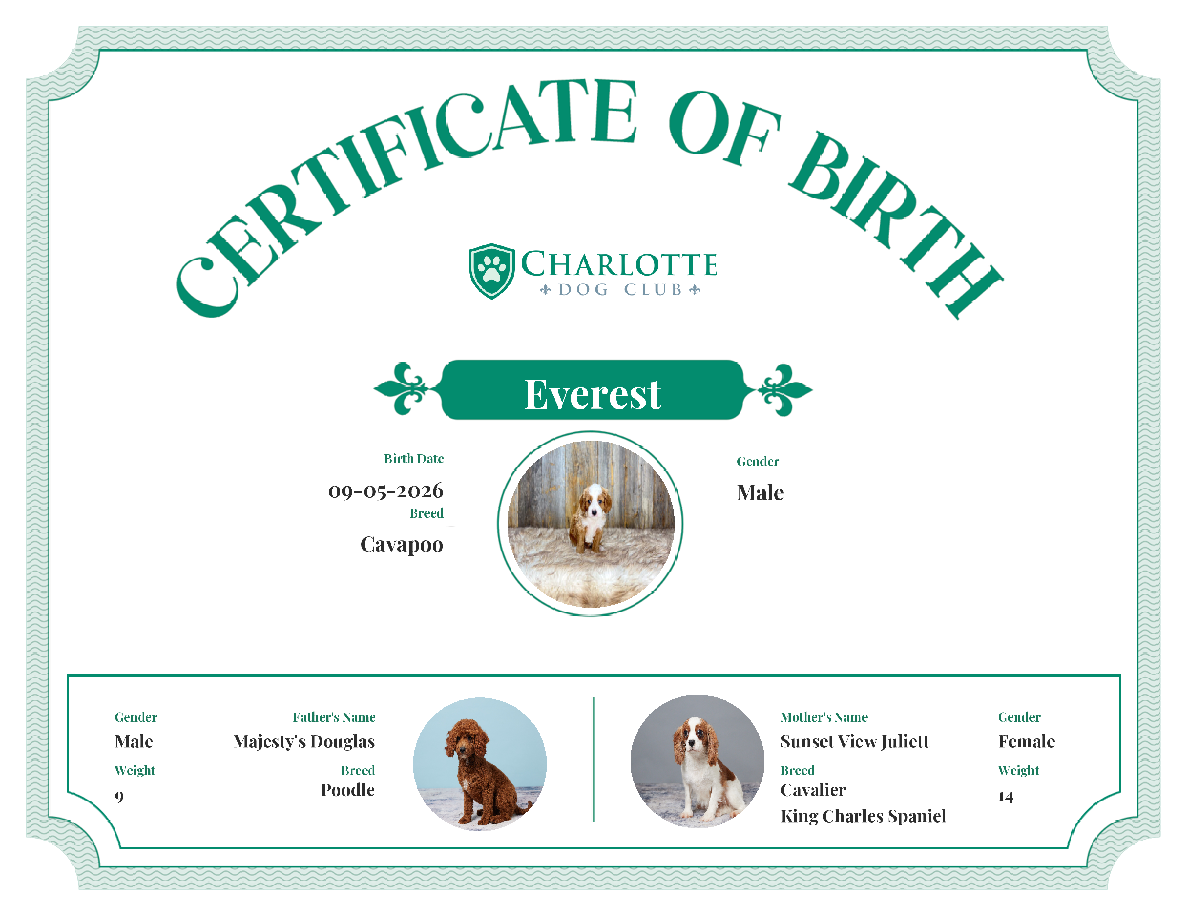 Everest's Birth Certificate