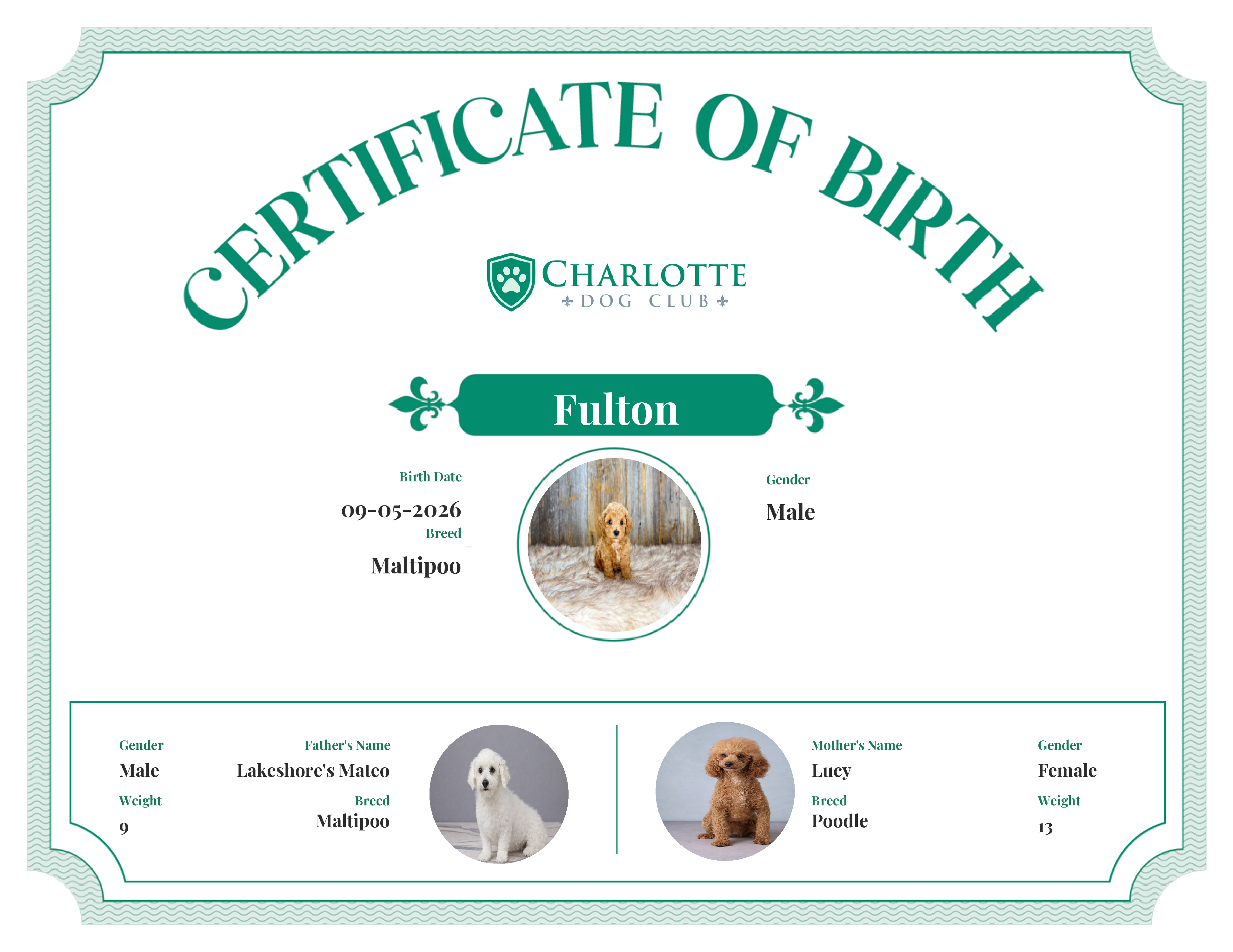 Fulton's Birth Certificate