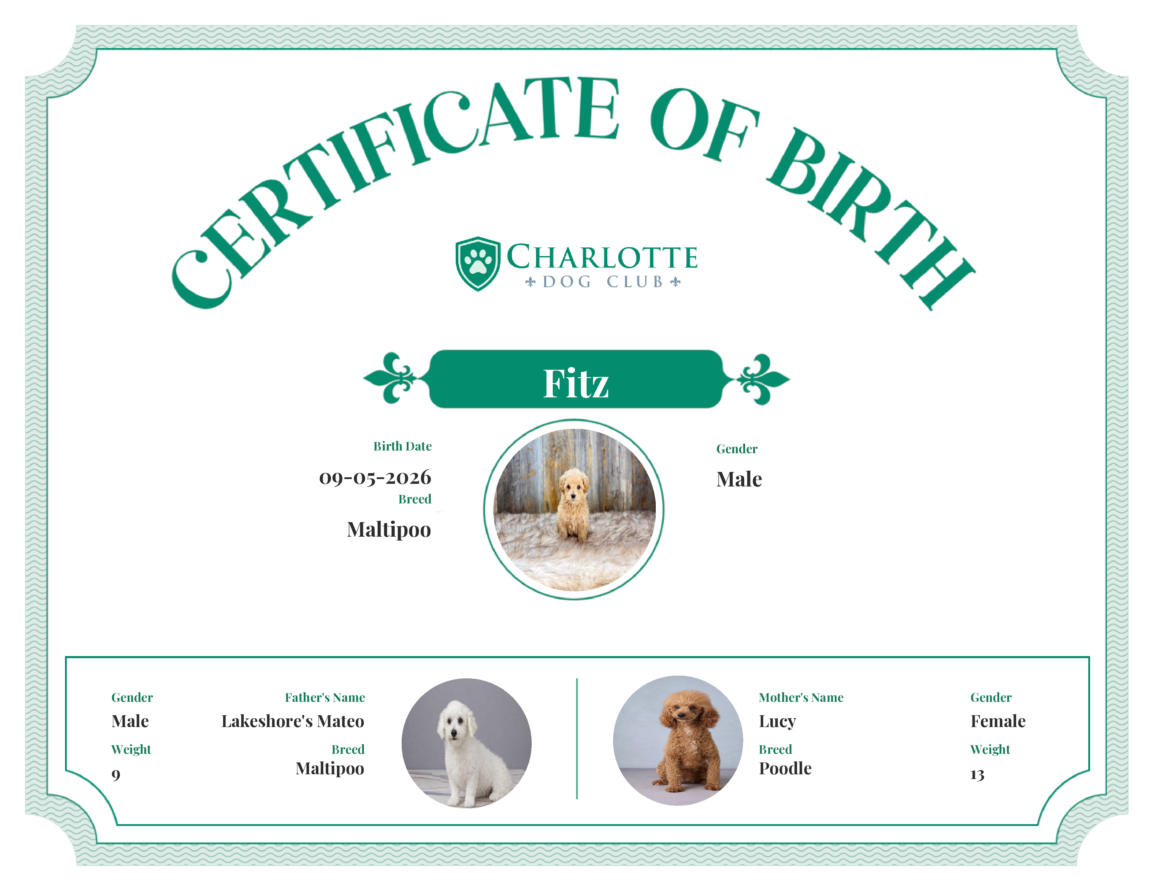 Fitz's Birth Certificate