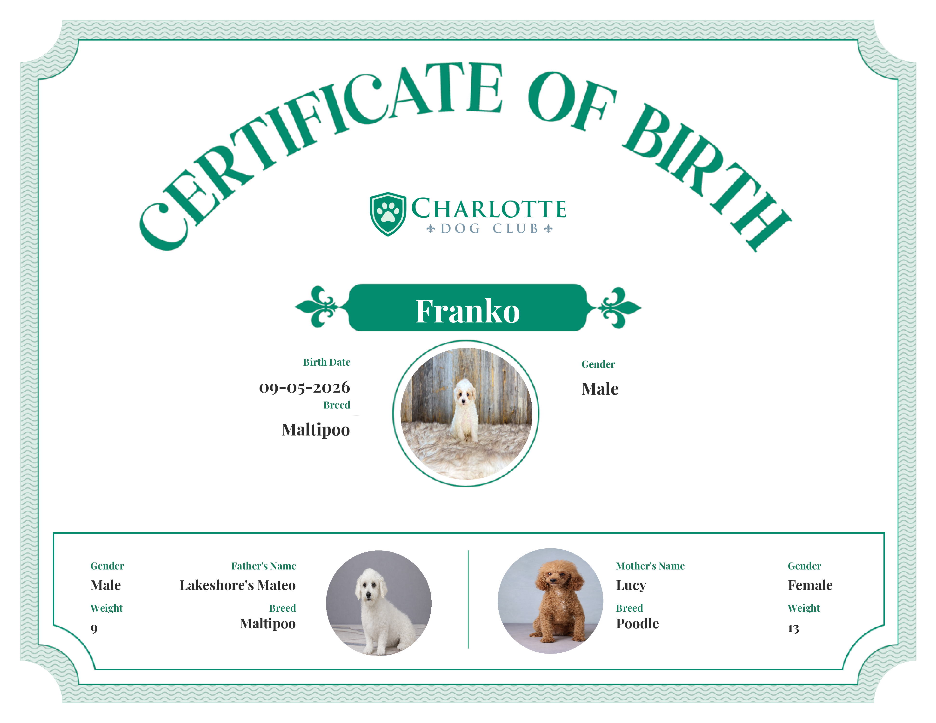 Franko's Birth Certificate