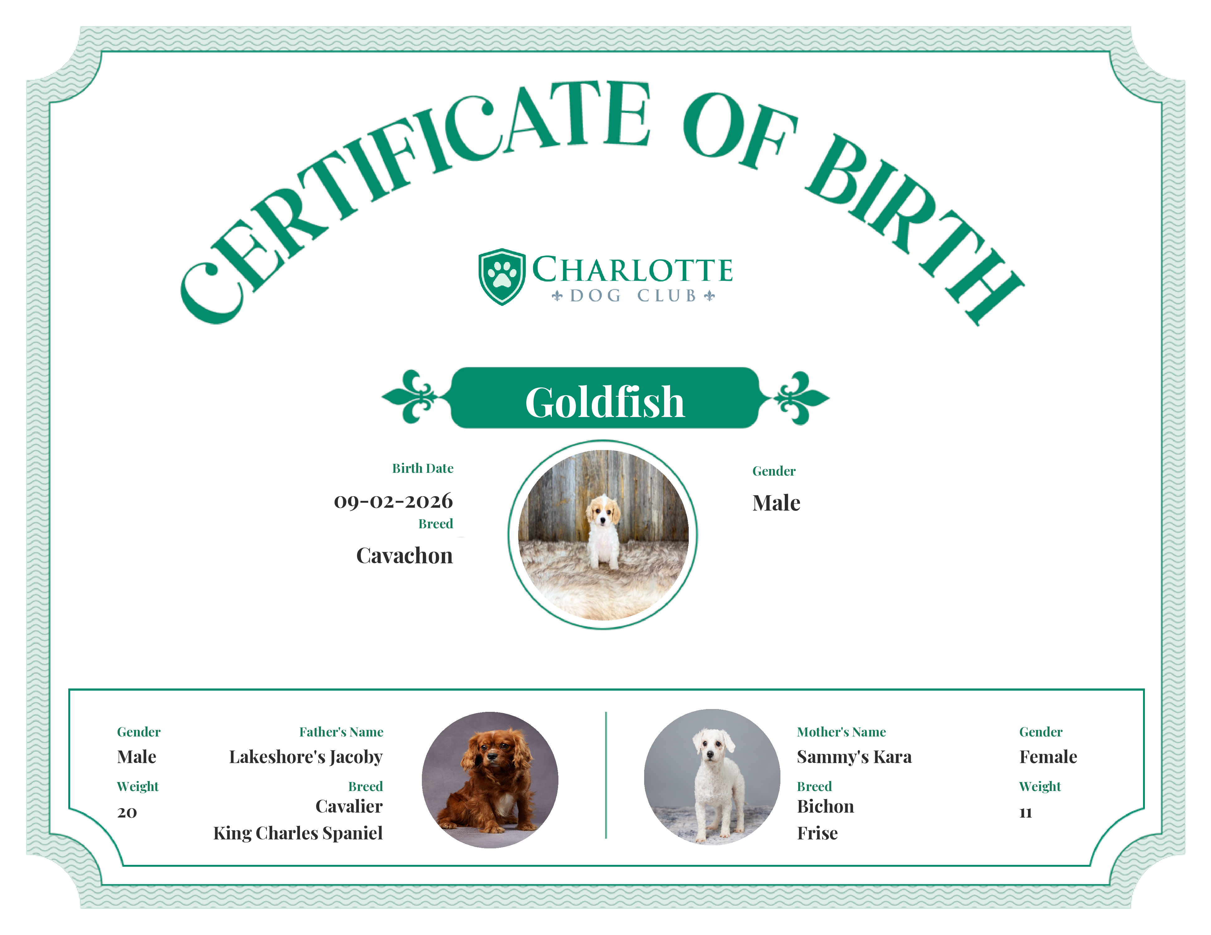 Goldfish's Birth Certificate