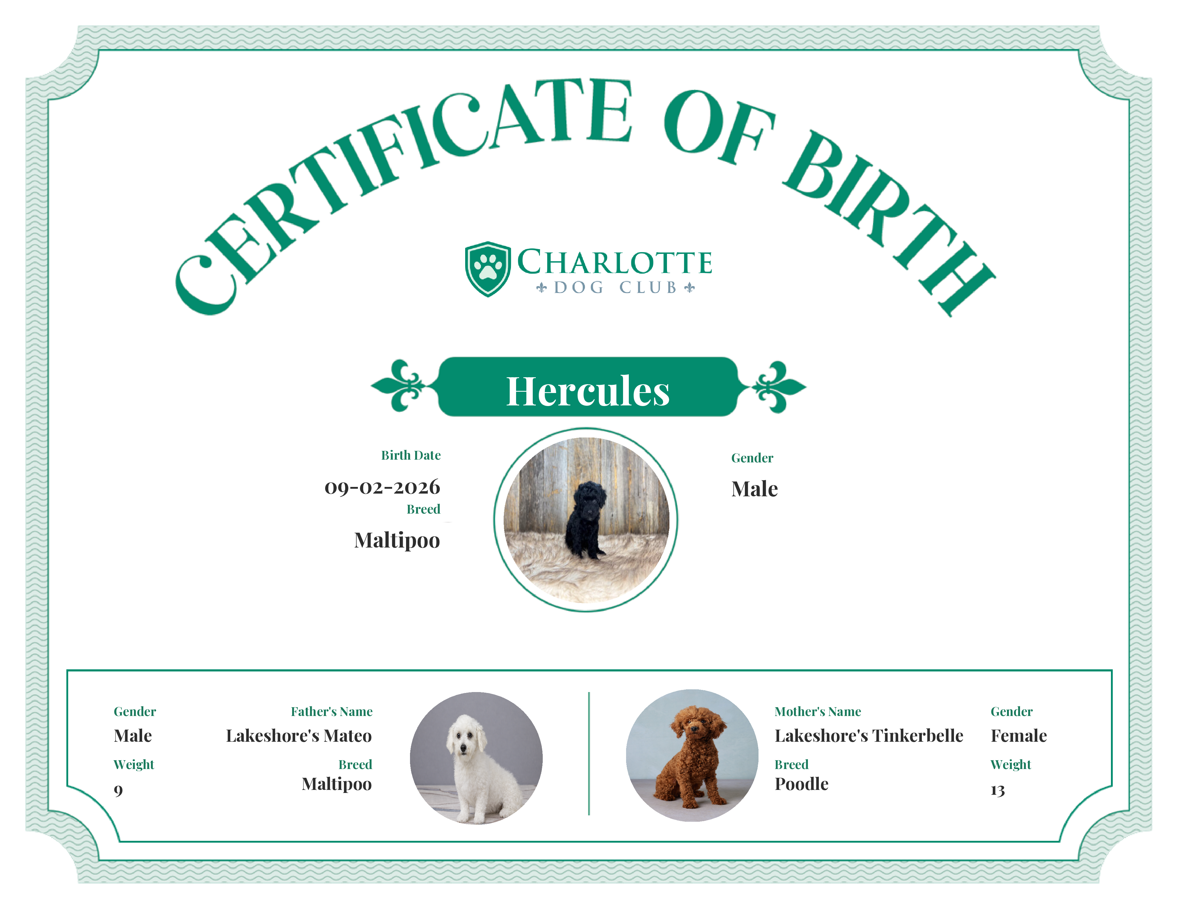 Hercules's Birth Certificate