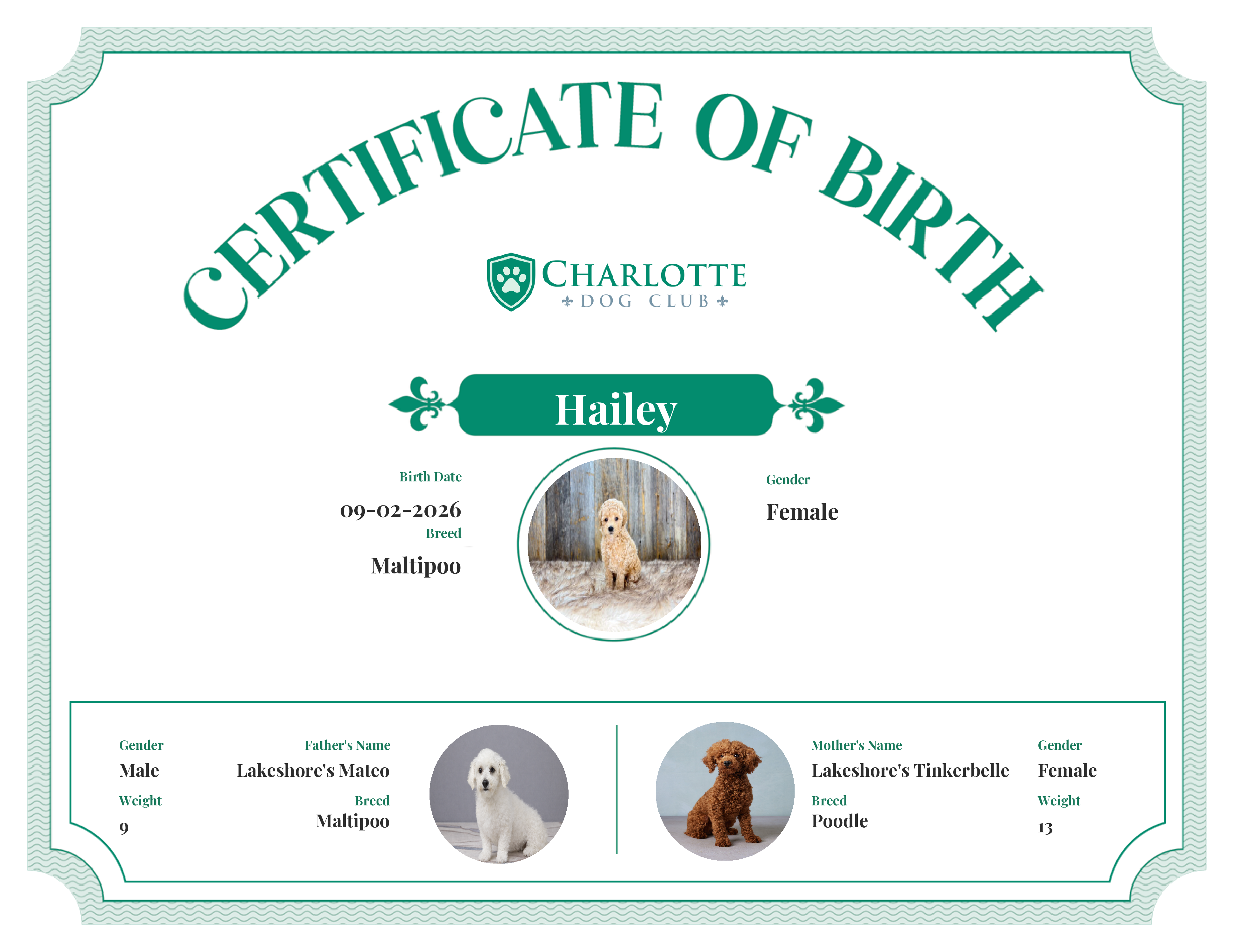 Hailey's Birth Certificate