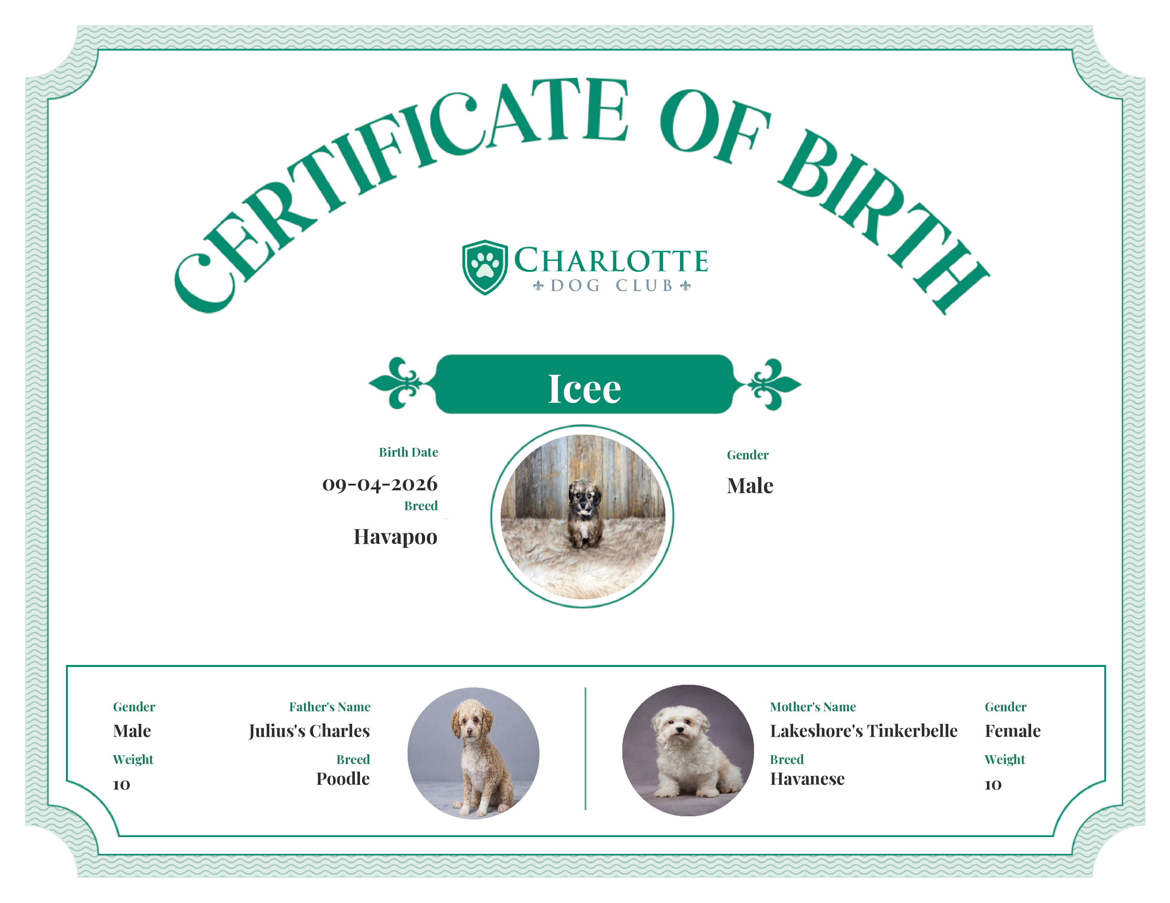 Icee's Birth Certificate