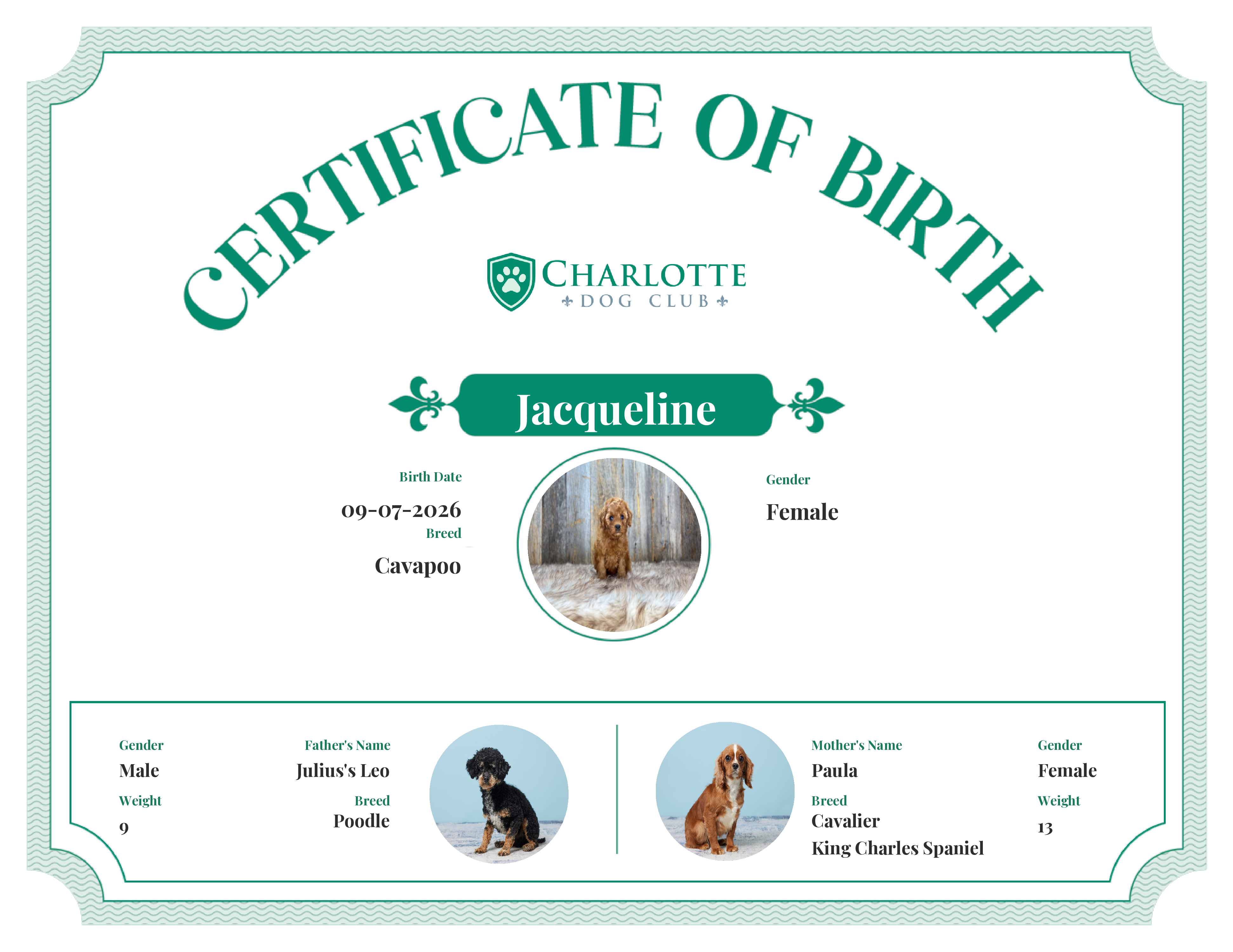 Jacqueline's Birth Certificate