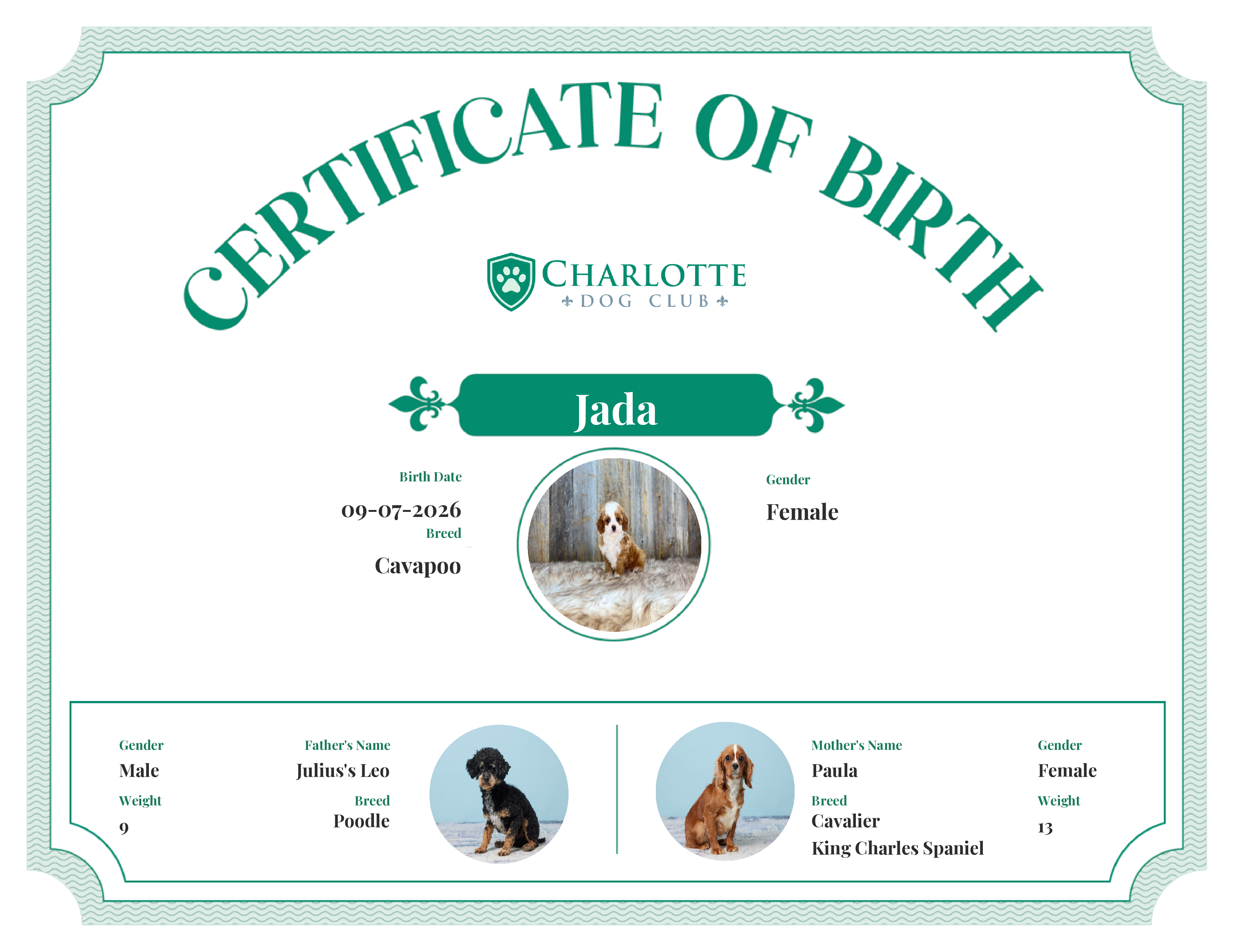 Jada's Birth Certificate