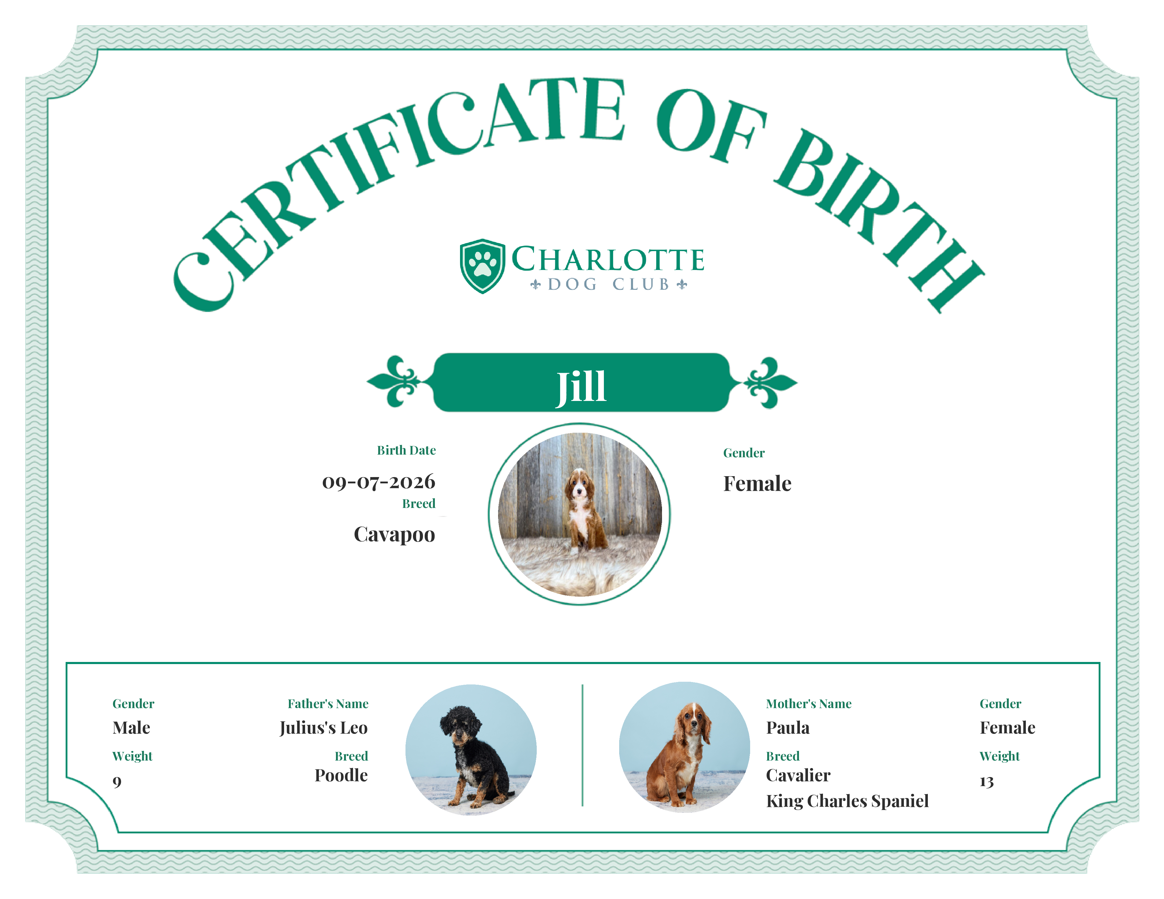 Jill's Birth Certificate