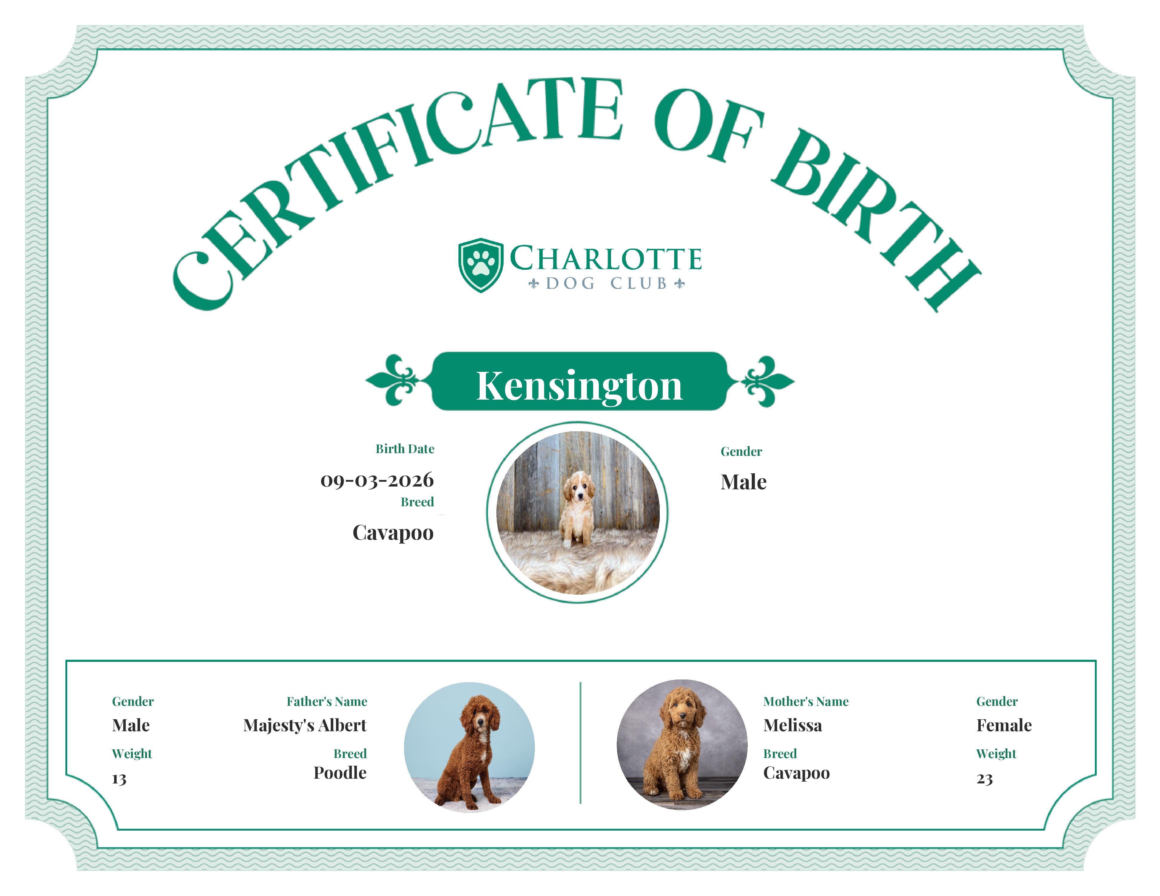 Kensington's Birth Certificate