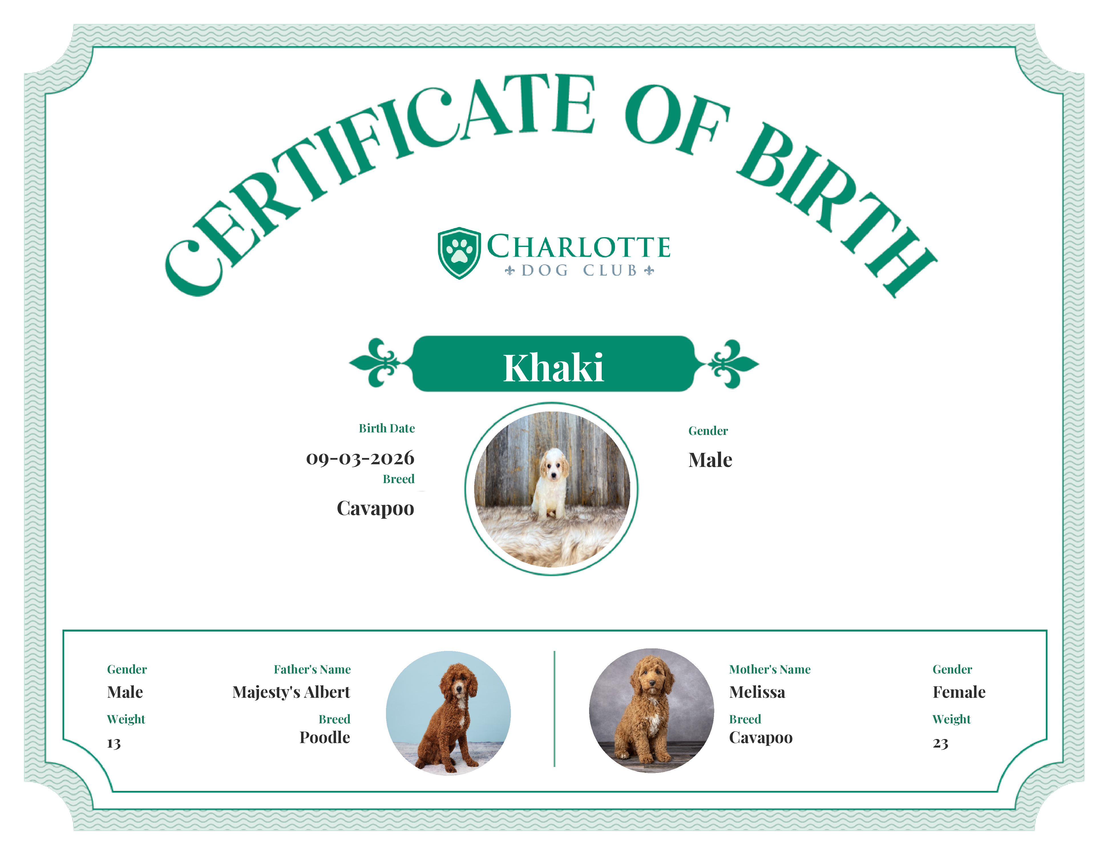 Khaki's Birth Certificate