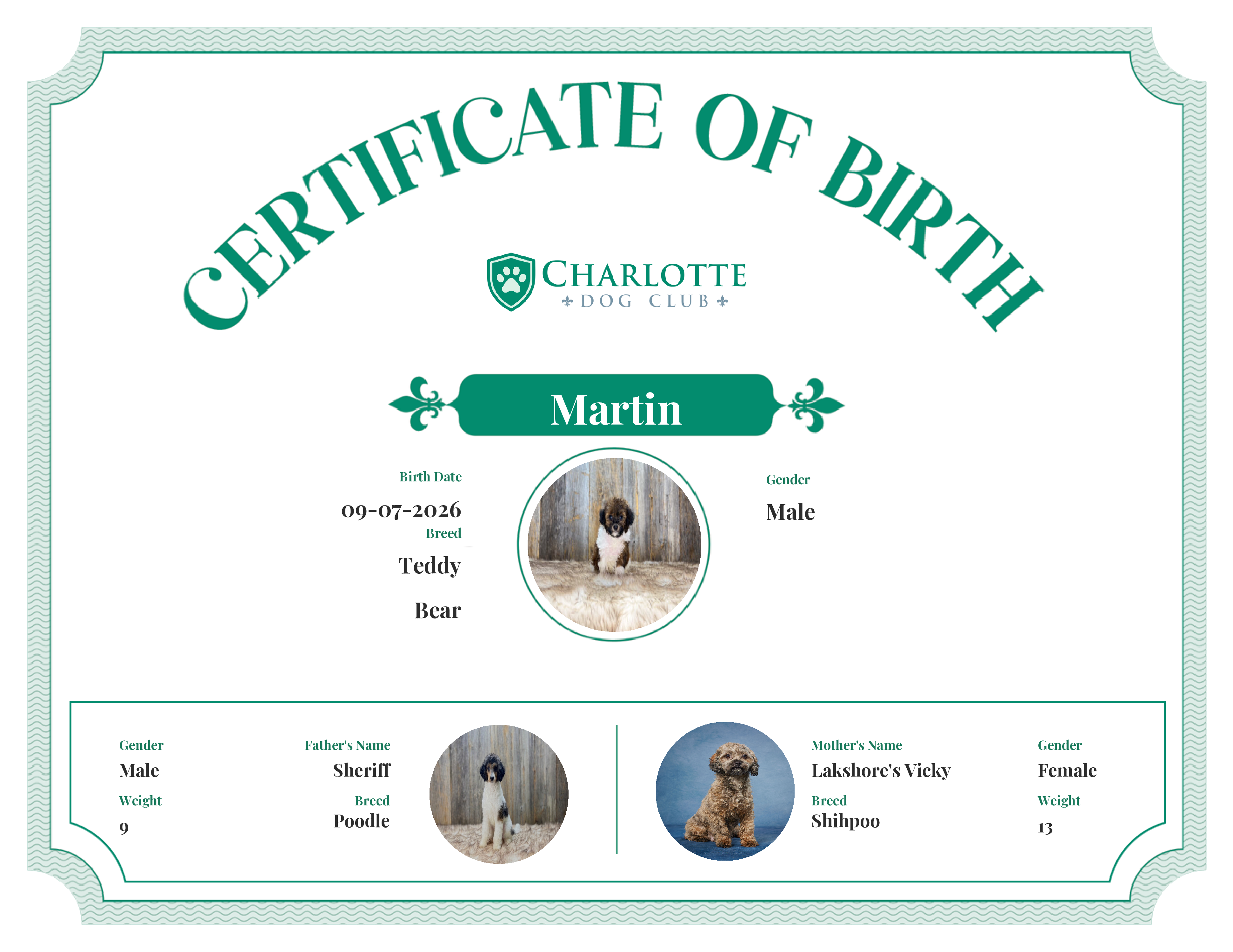 Martin's Birth Certificate