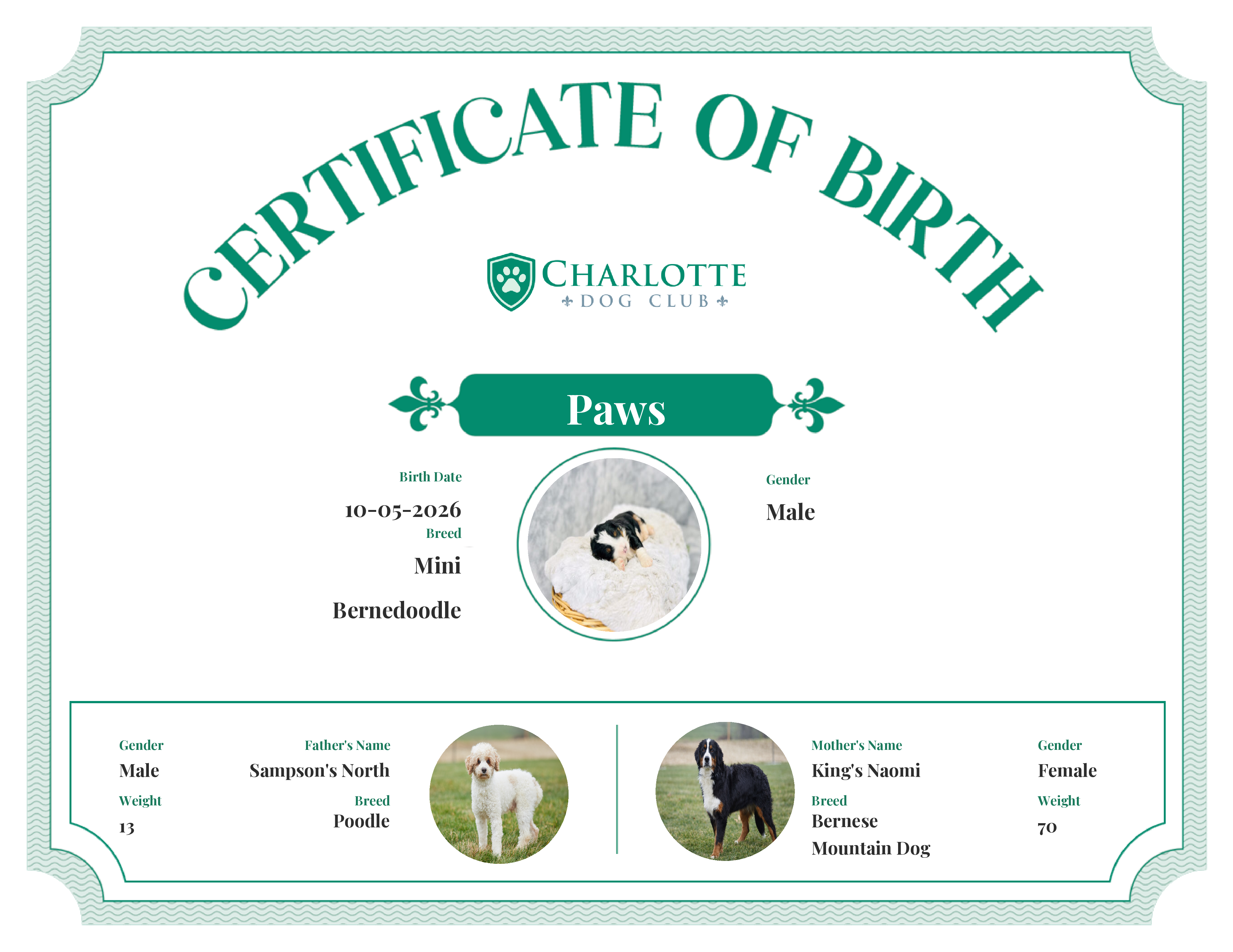 Paws's Birth Certificate