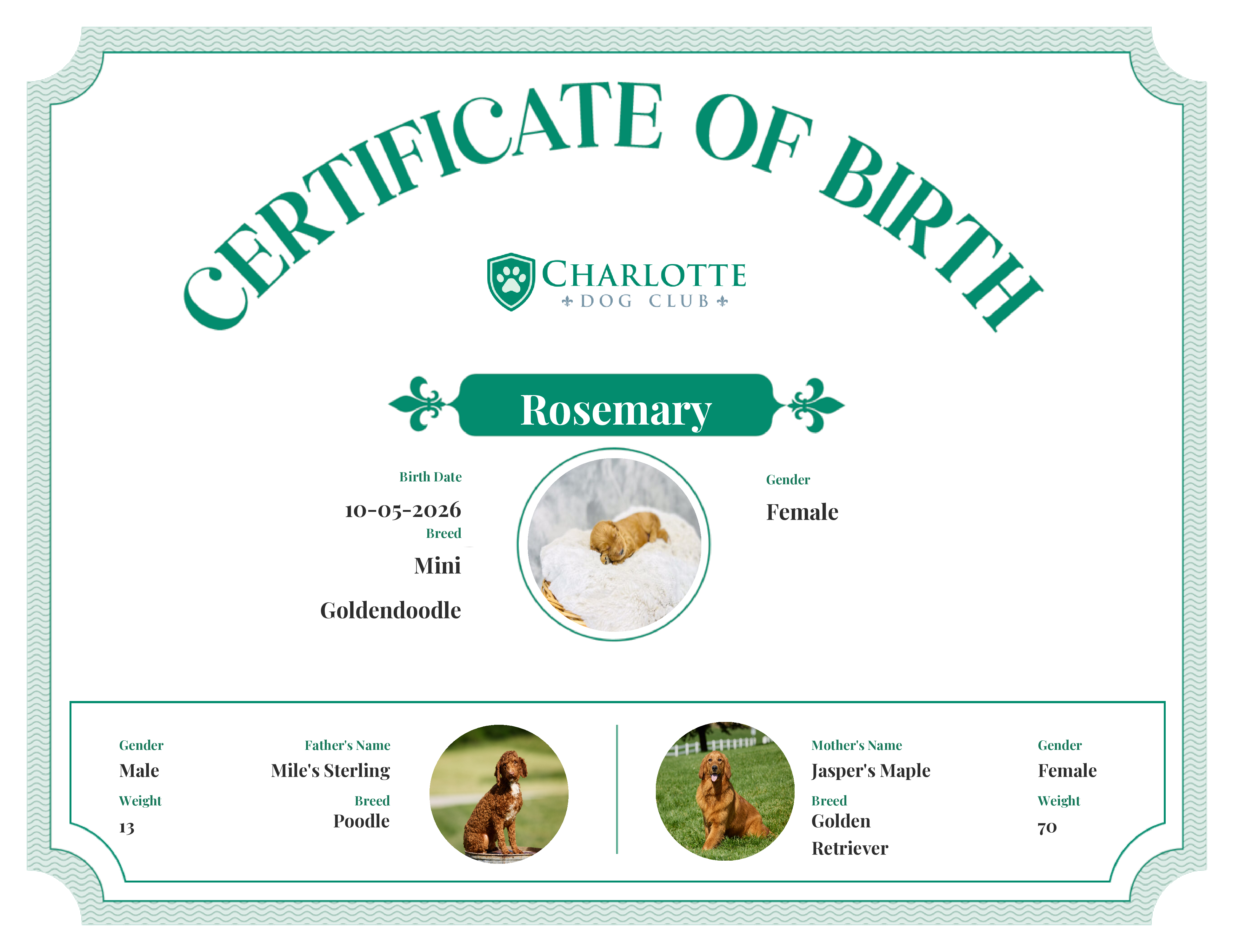 Rosemary's Birth Certificate