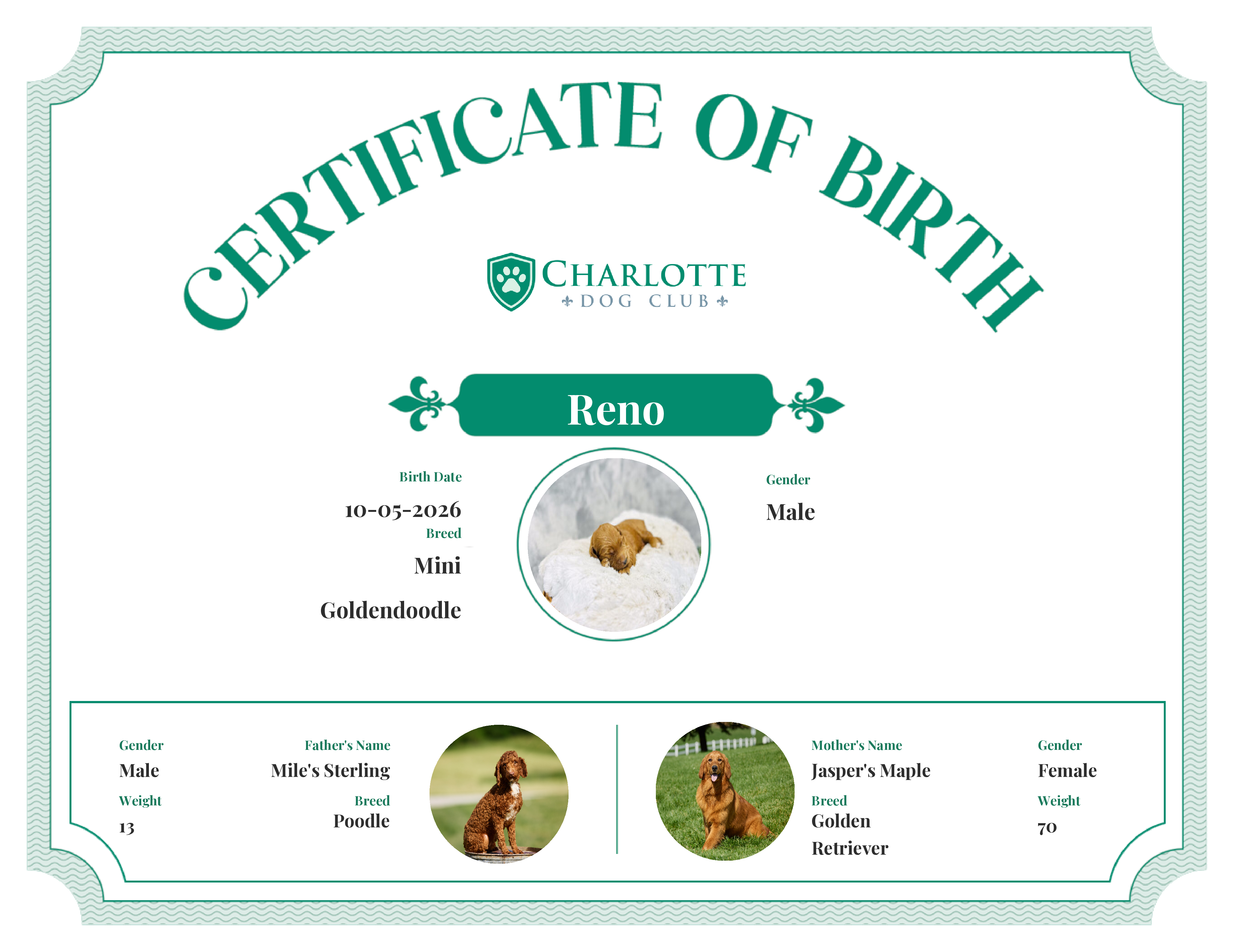 Reno's Birth Certificate