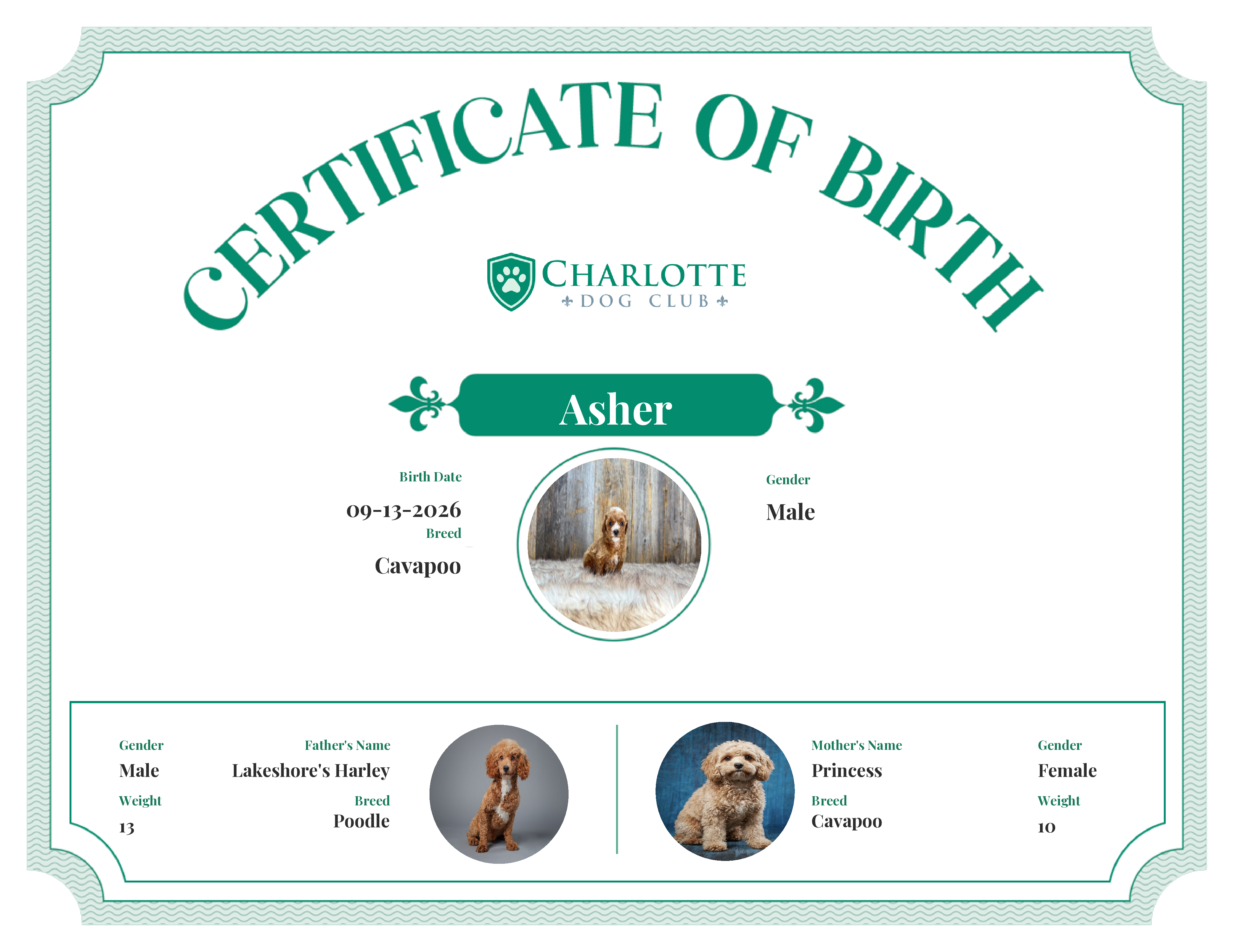 Asher's Birth Certificate