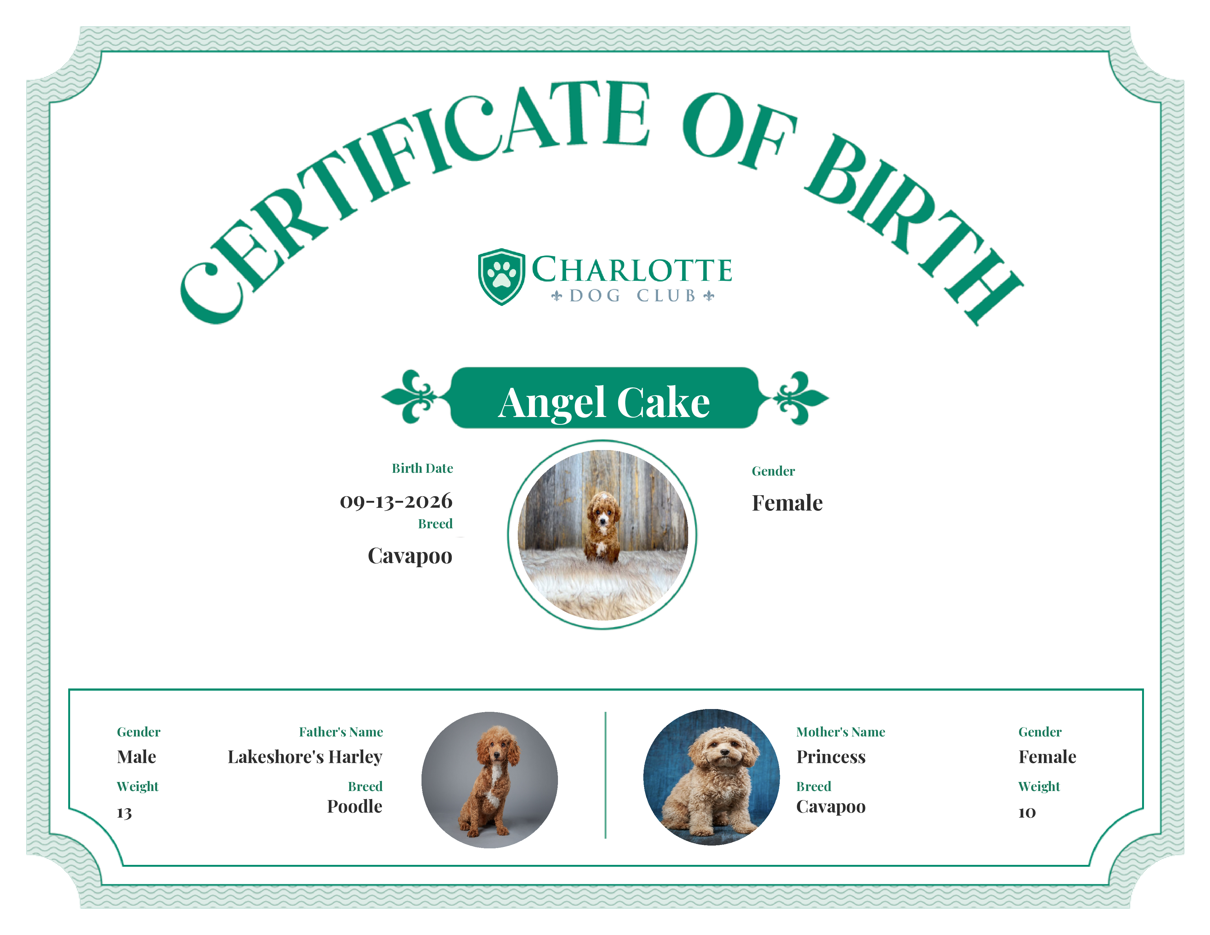 Angel Cake's Birth Certificate