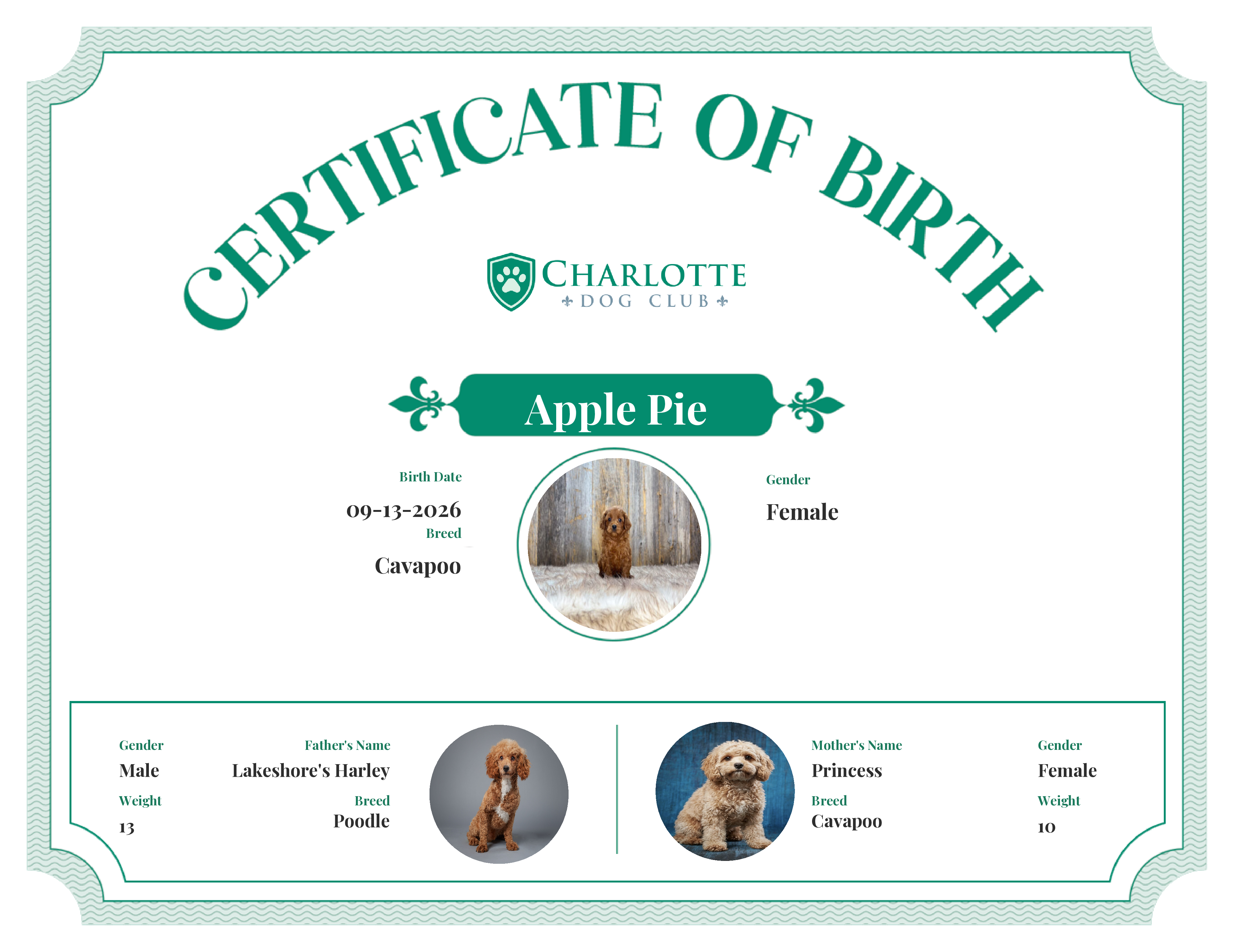 Apple Pie's Birth Certificate