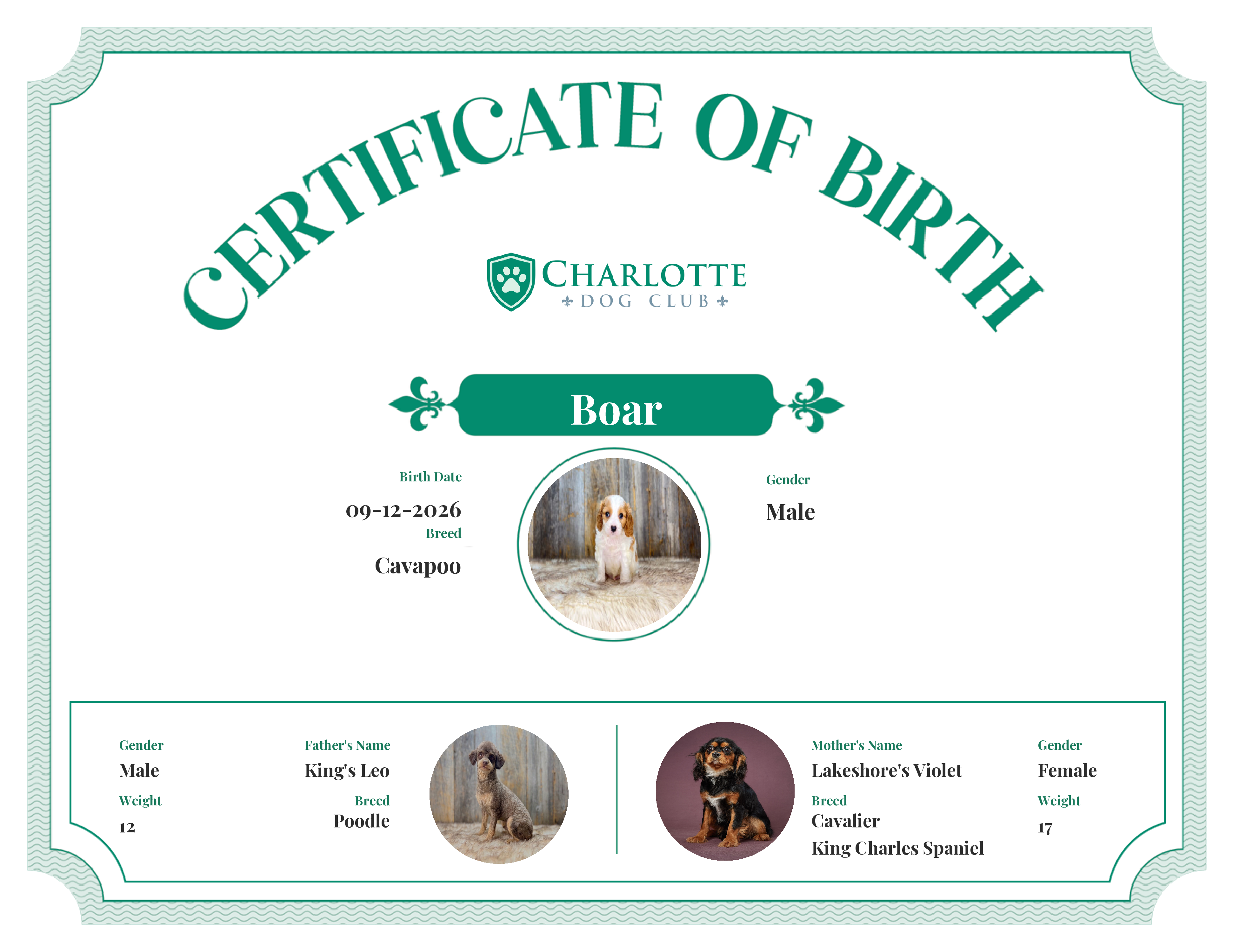 Boar's Birth Certificate