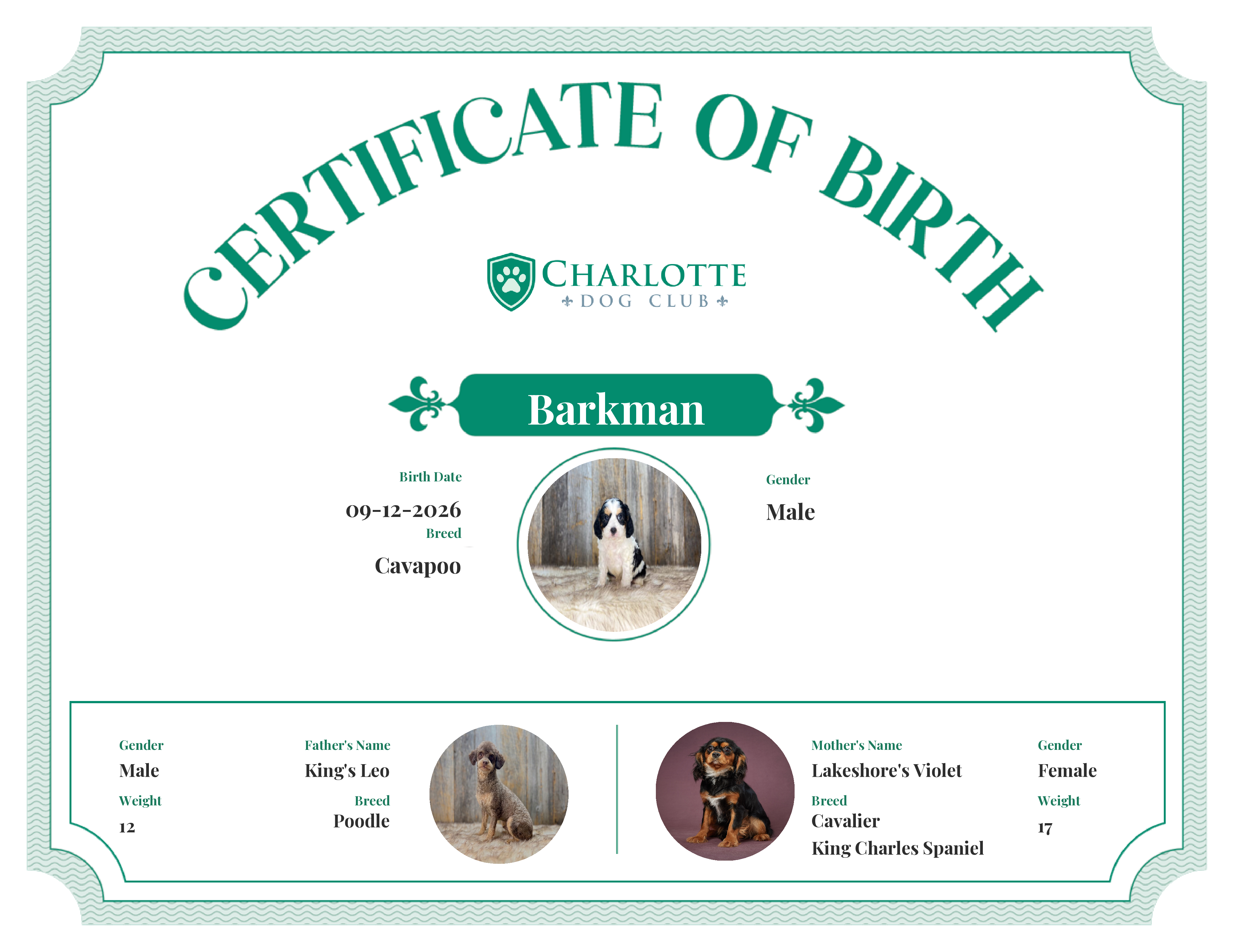 Barkman's Birth Certificate